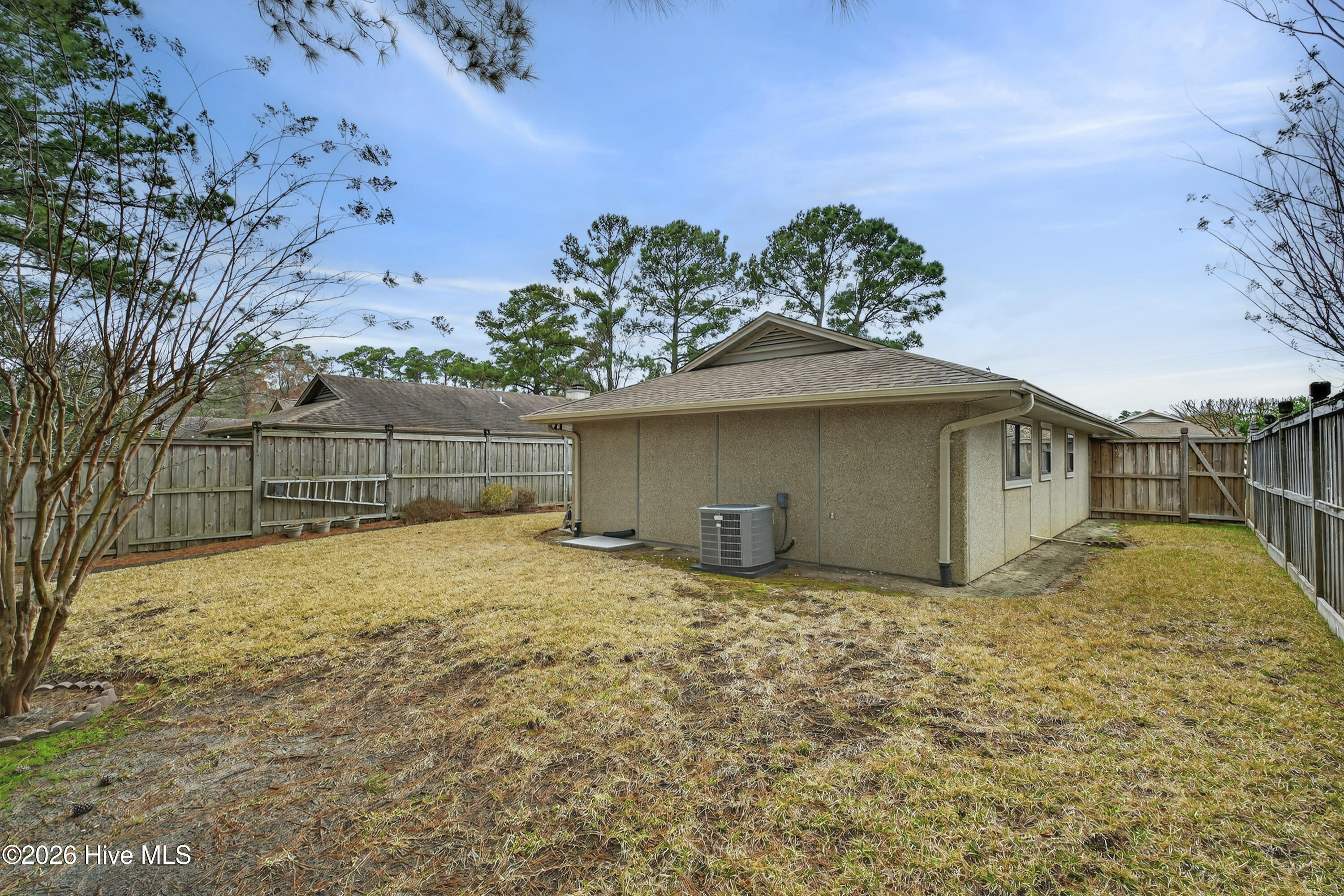 100557206 | Photo 18