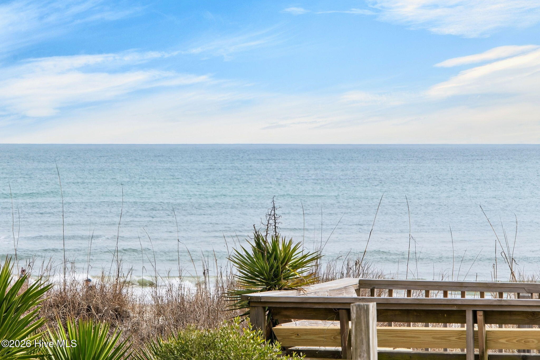 100557808 | Photo 33