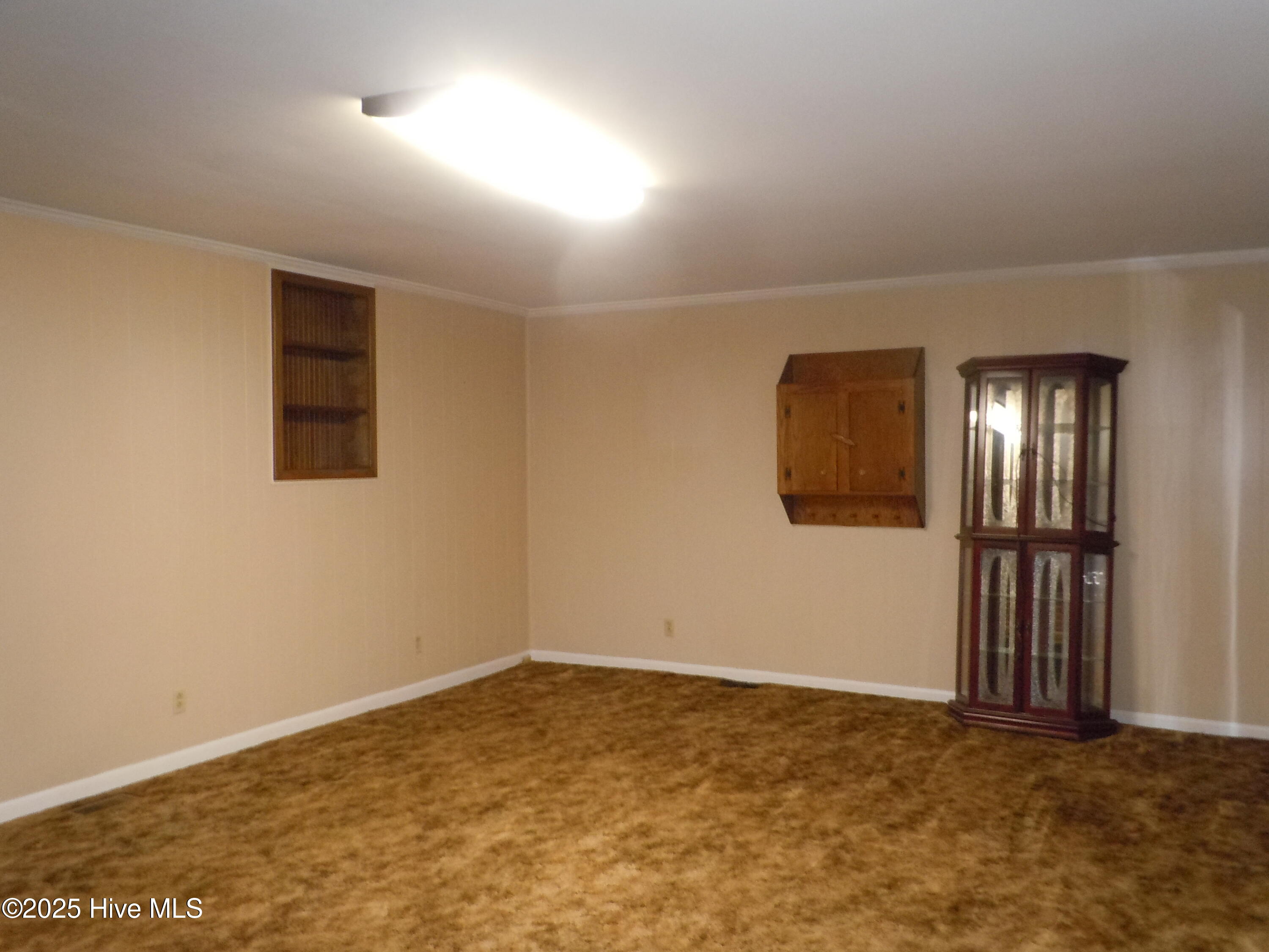 100528671 | Photo 15