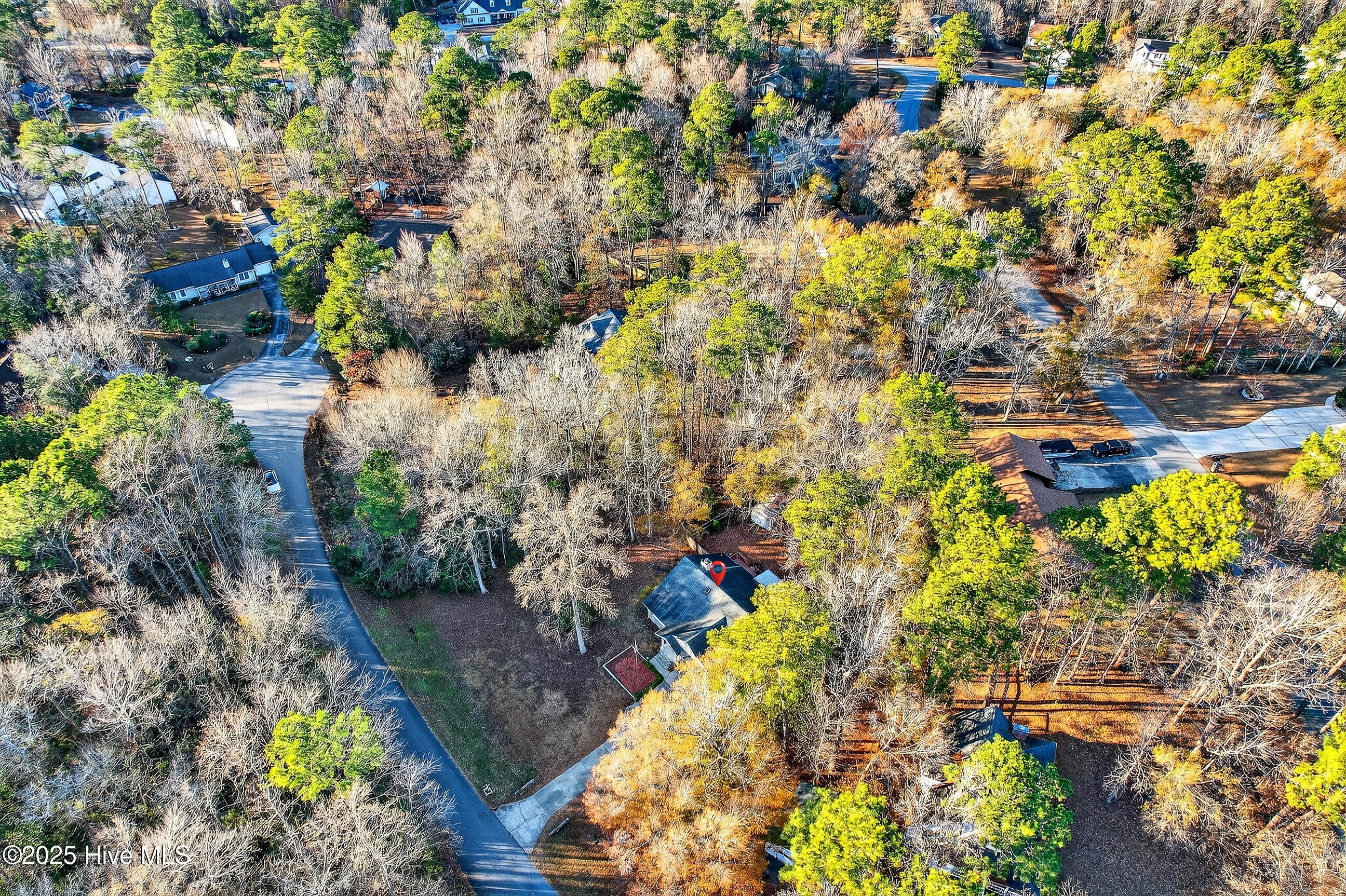 100546283 | Photo 29