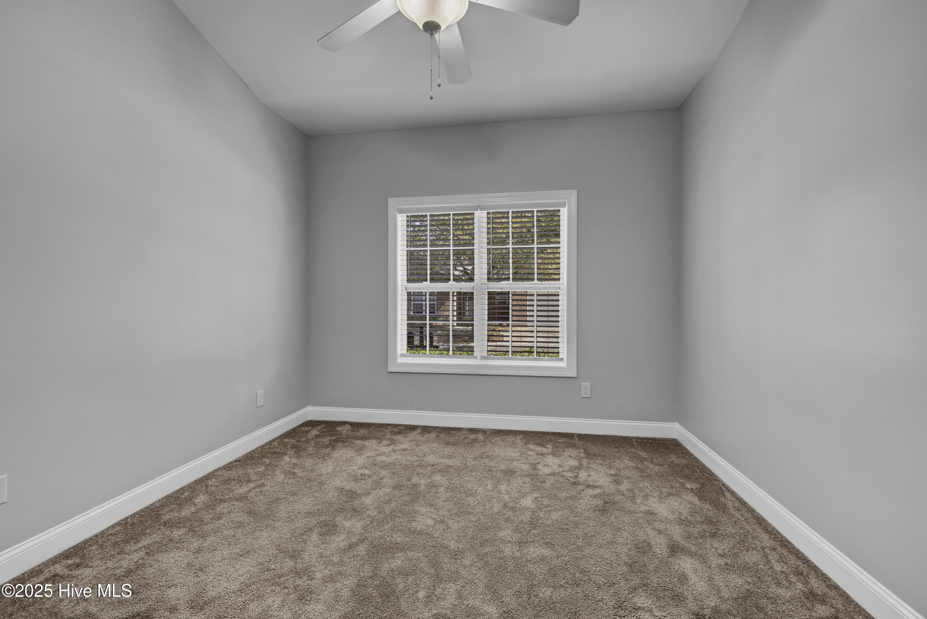 100545653 | Photo 16