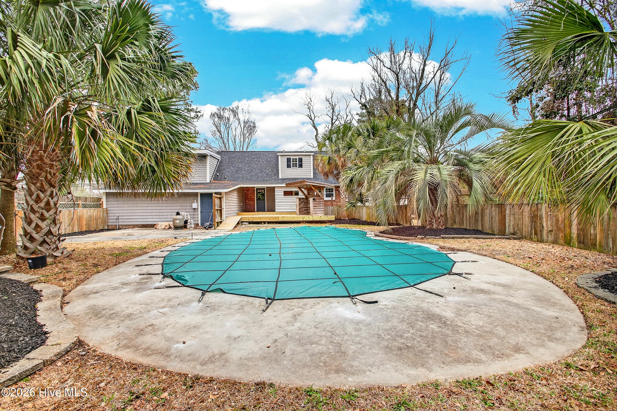 100558512 | Photo 37