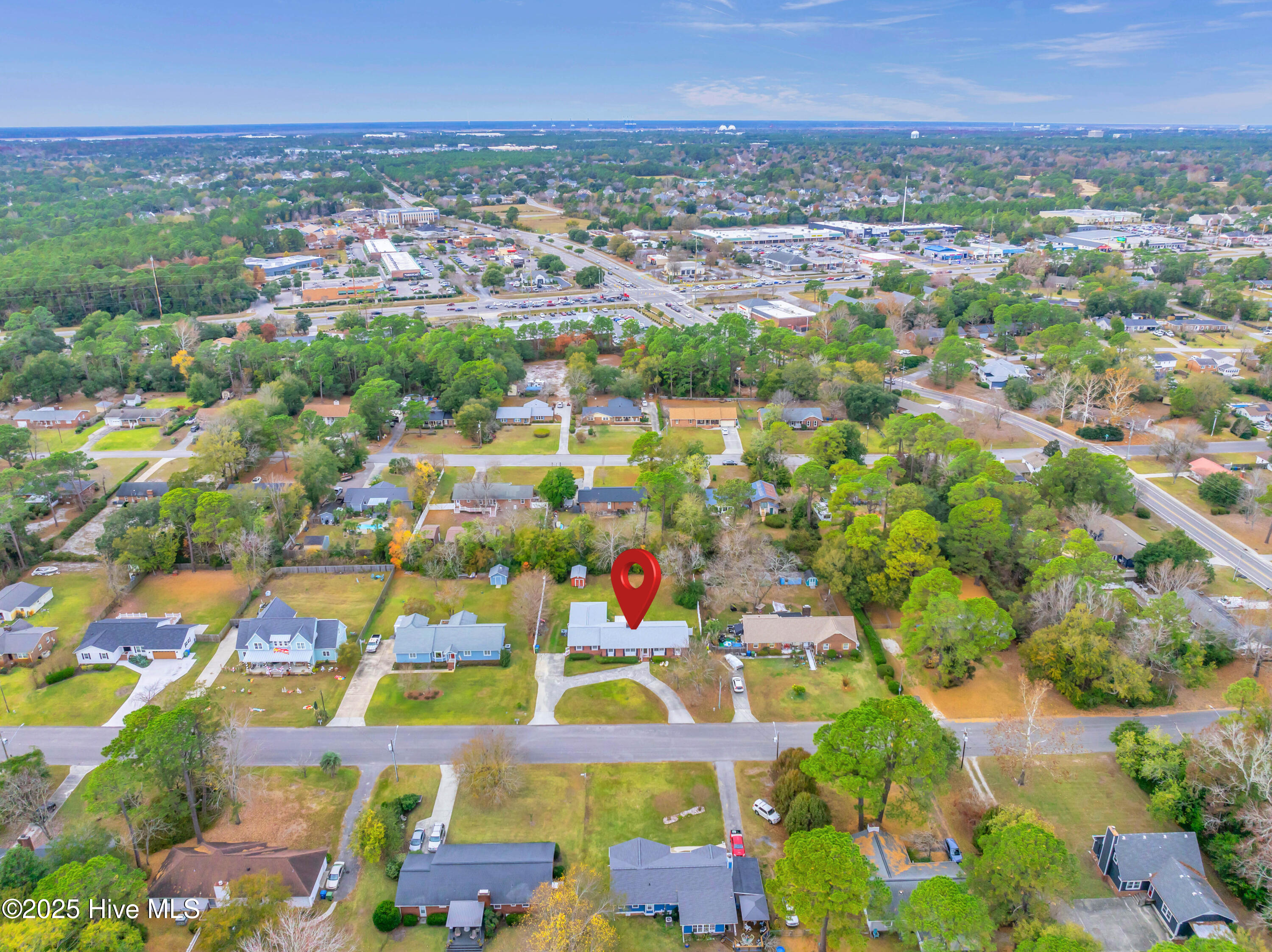 100567003 | Photo 45