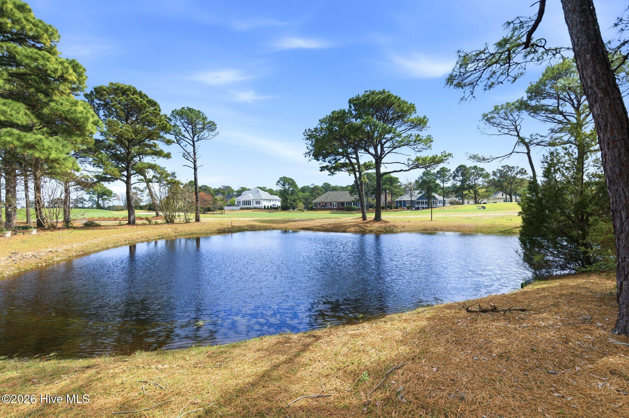 100564231 | Photo 68