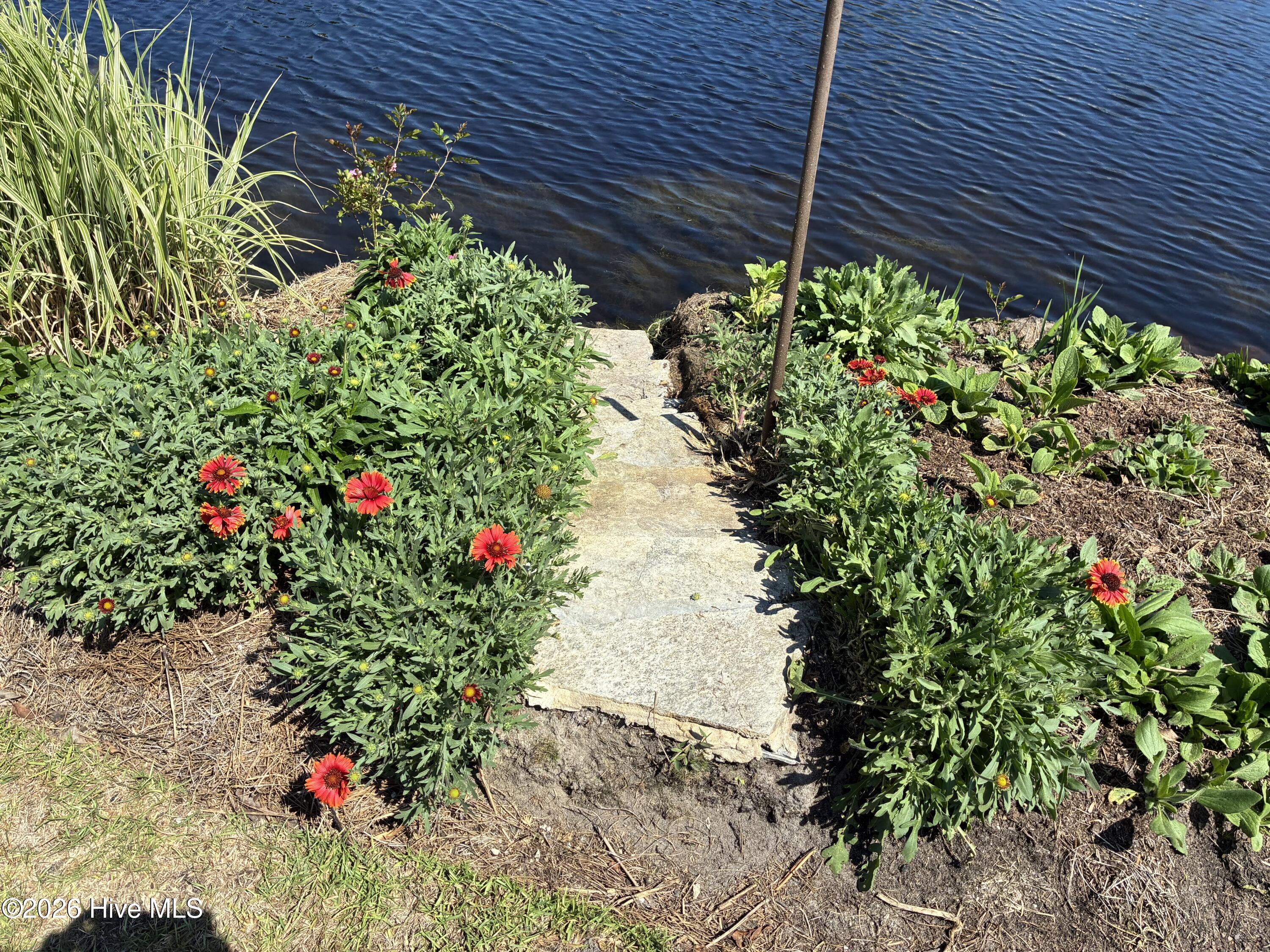 100560288 | Photo 119