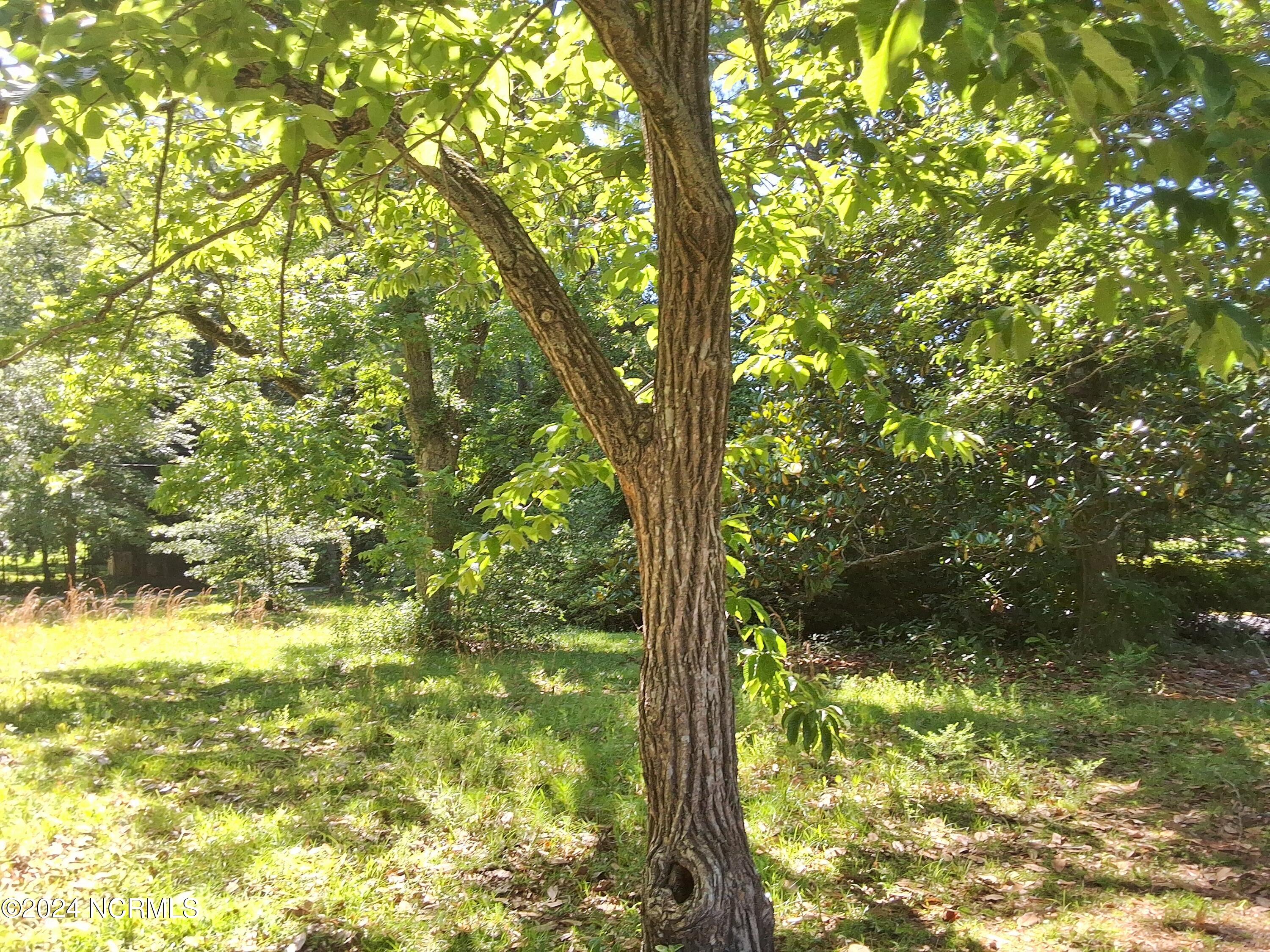 201 E Bell Street, Tabor City, NC, 28463