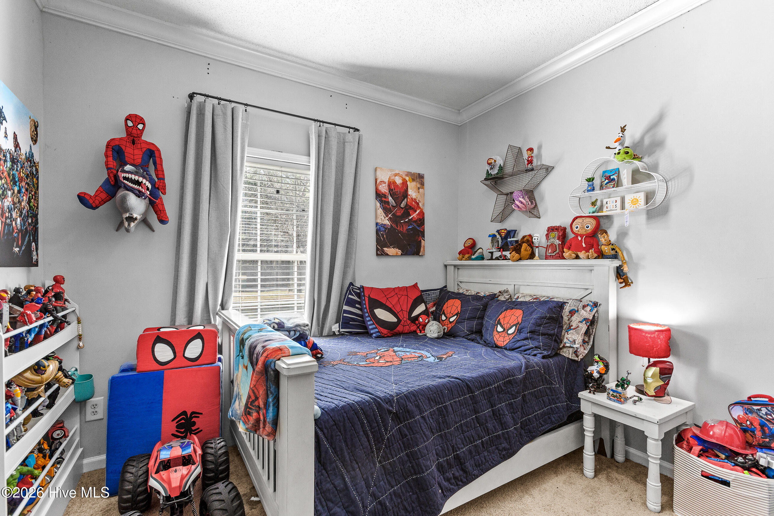 100559126 | Photo 23