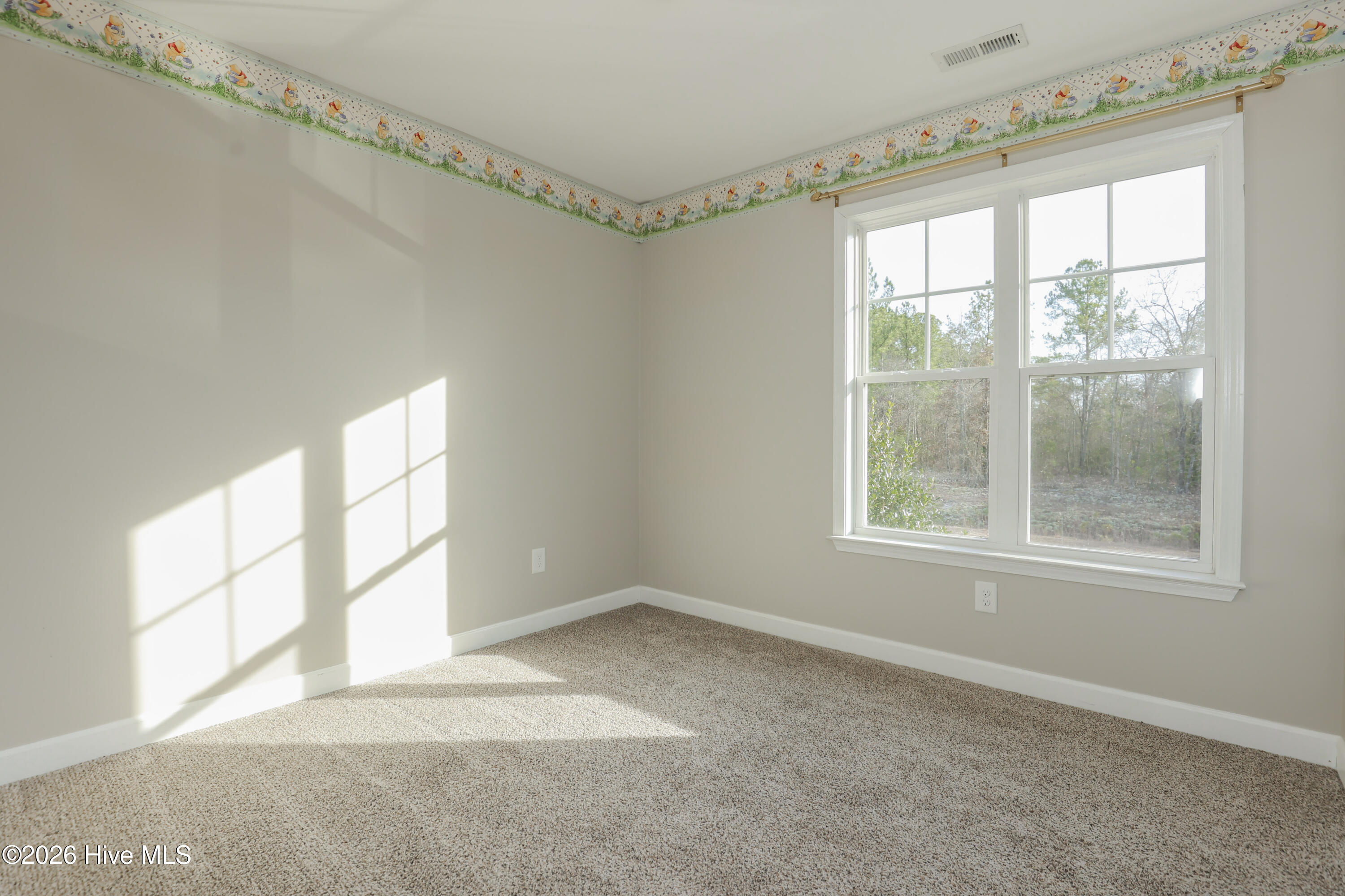 106 Blueberry Fields Road, Maple Hill, NC 28454 – photo 16: 229A1702