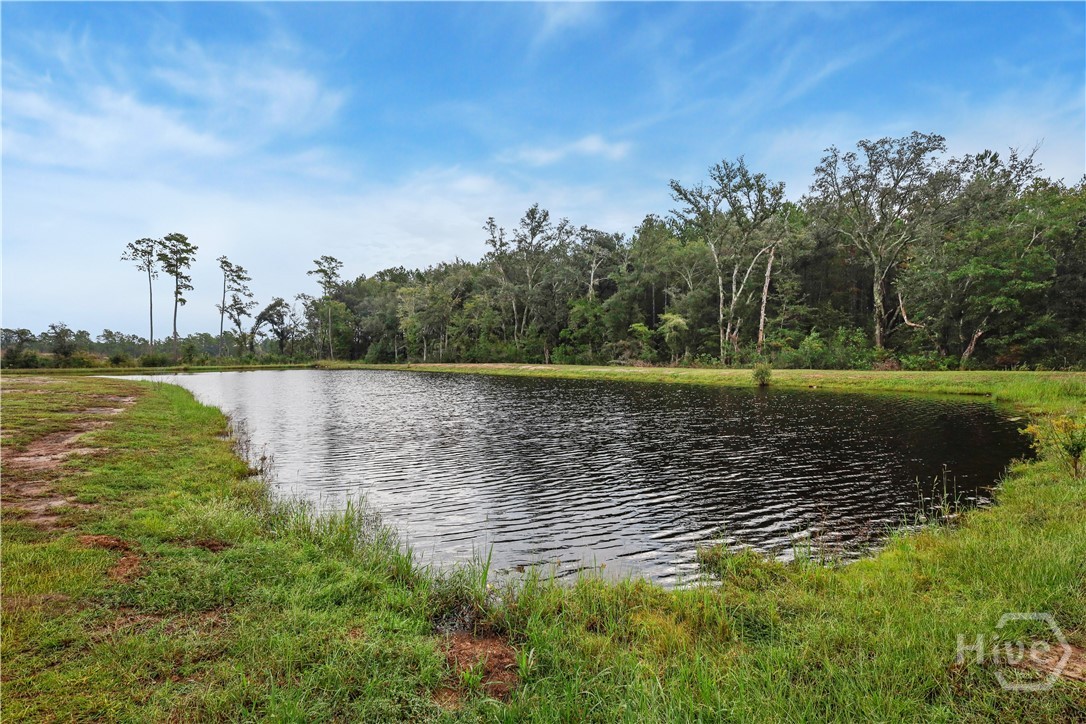 Photo 3 of Single family home for sale at 229 Blandford Xing, Rincon, GA 31326 | MLS# SA366016 | Listing updated on 2026-10-08