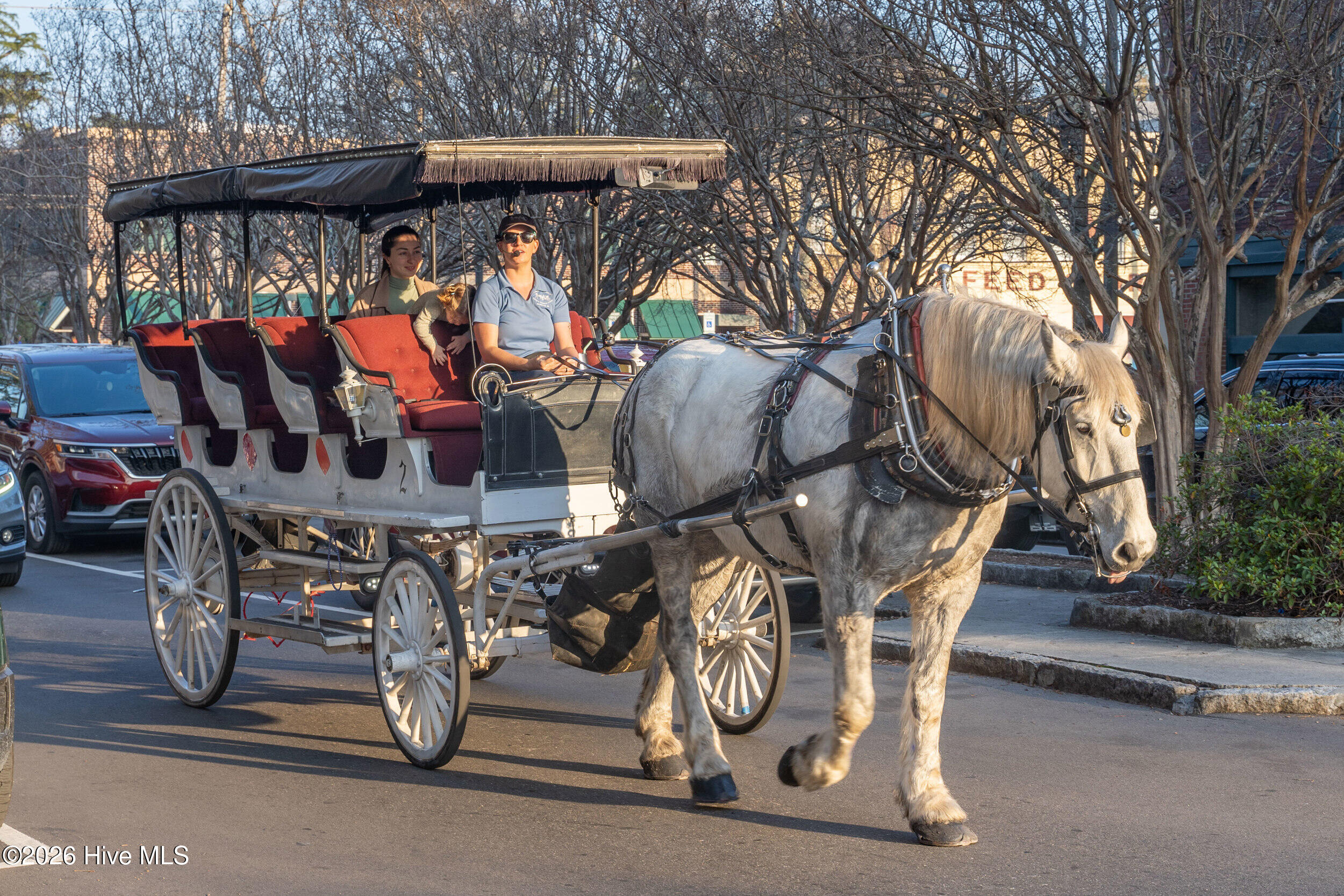 100570172 | Photo 57