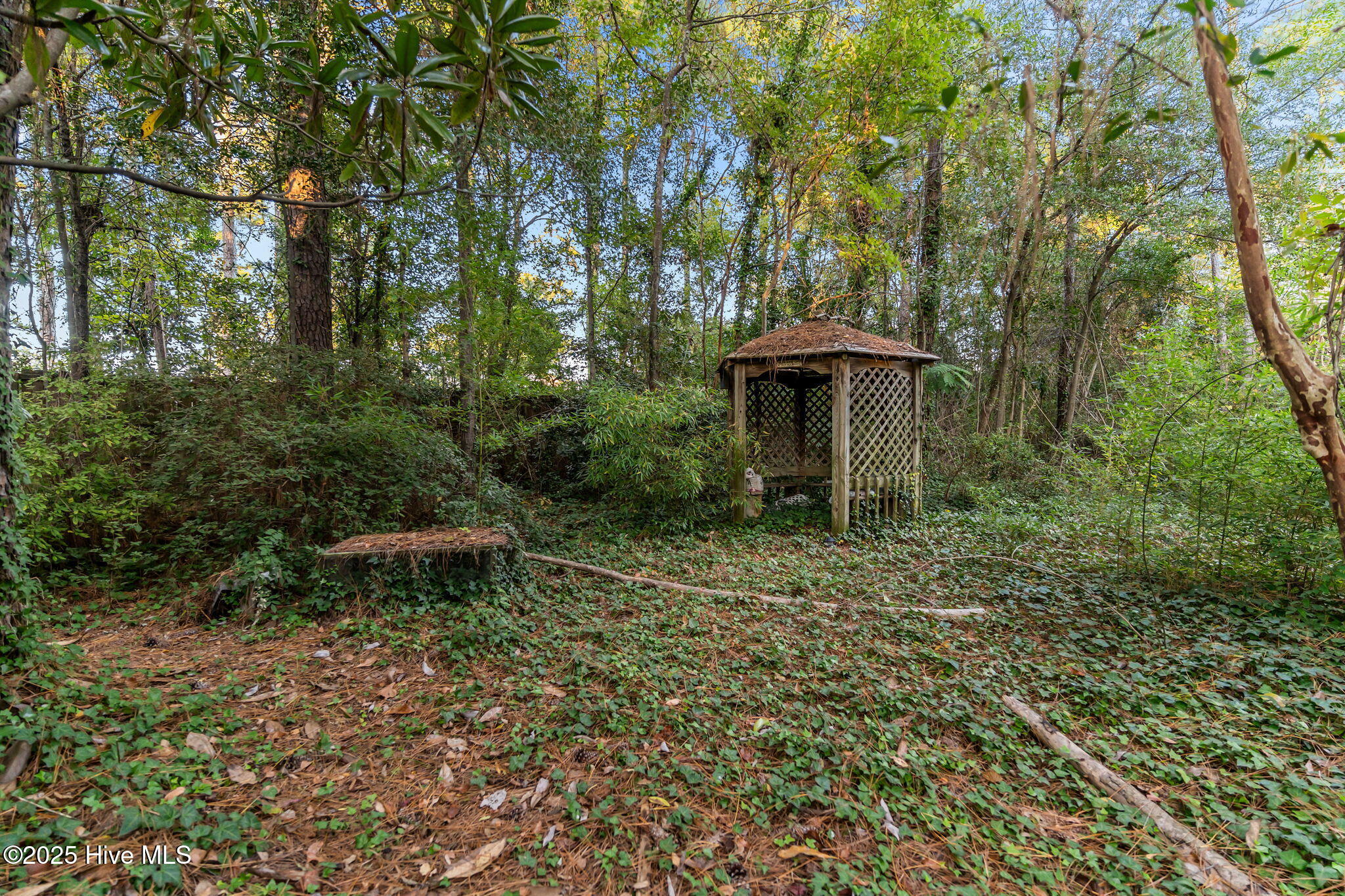 100540294 | Photo 45