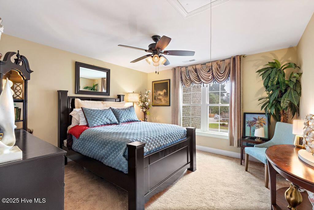 100547367 | Photo 35