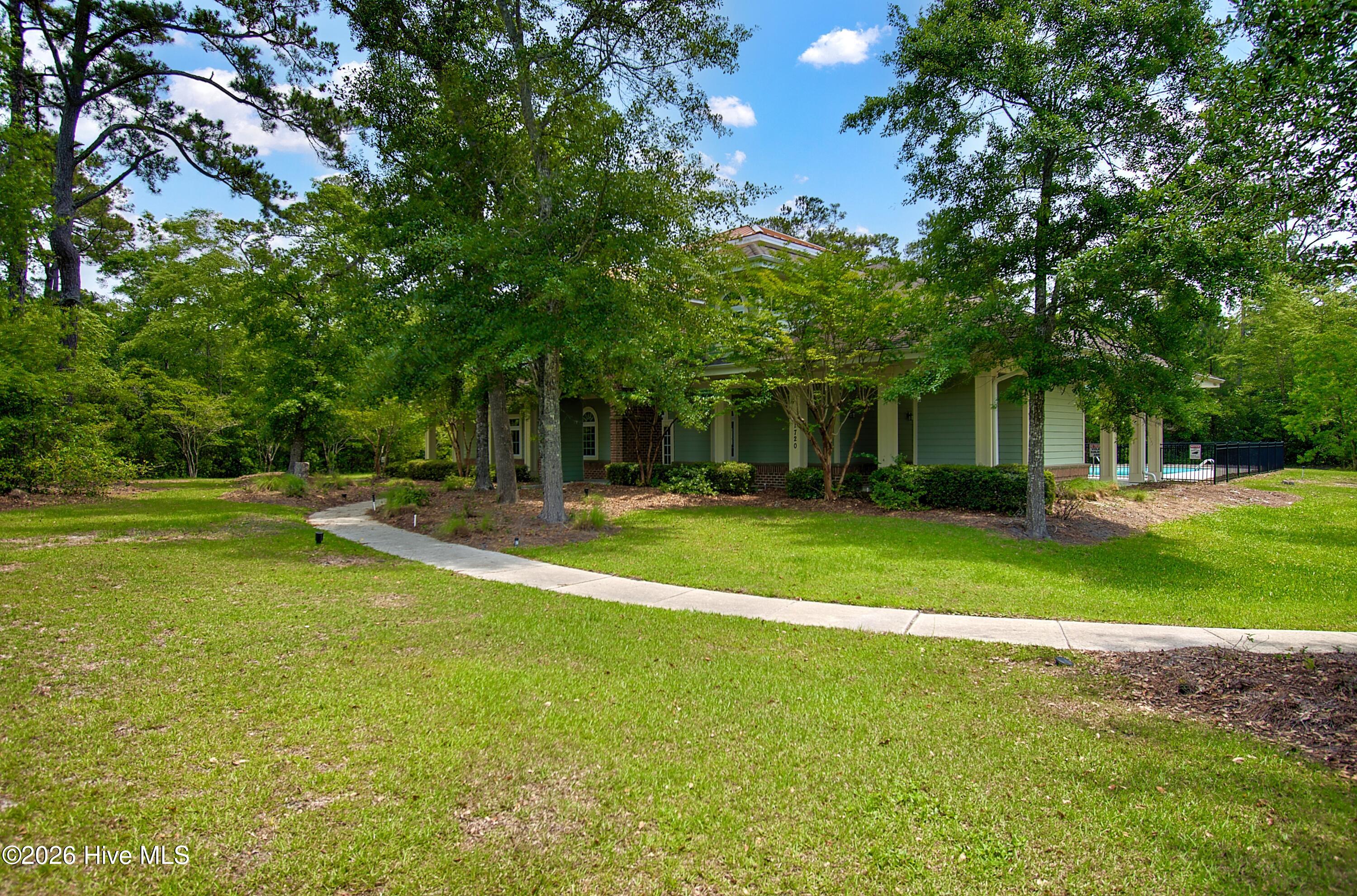 100565017 | Photo 79