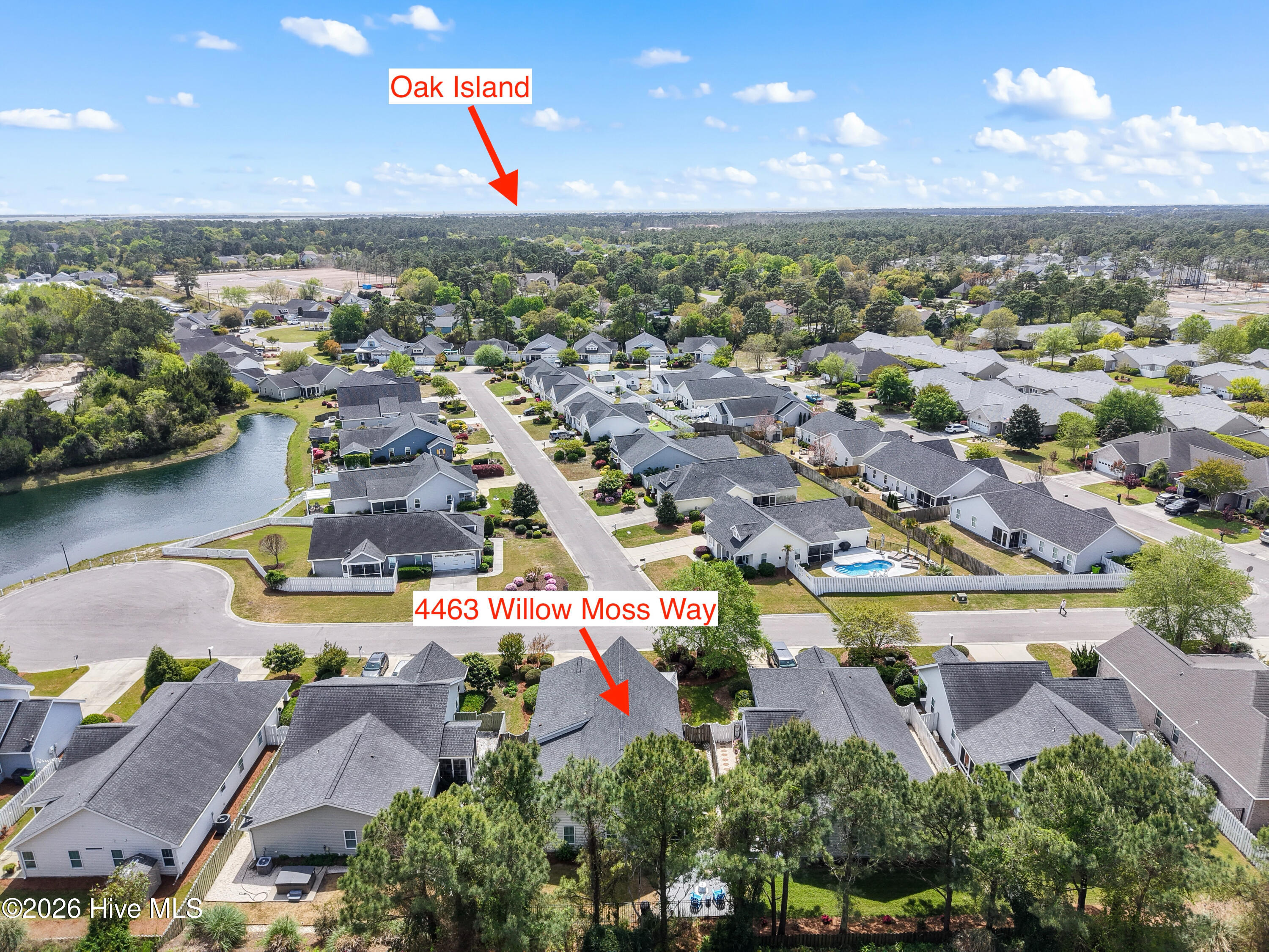 100566075 | Photo 64