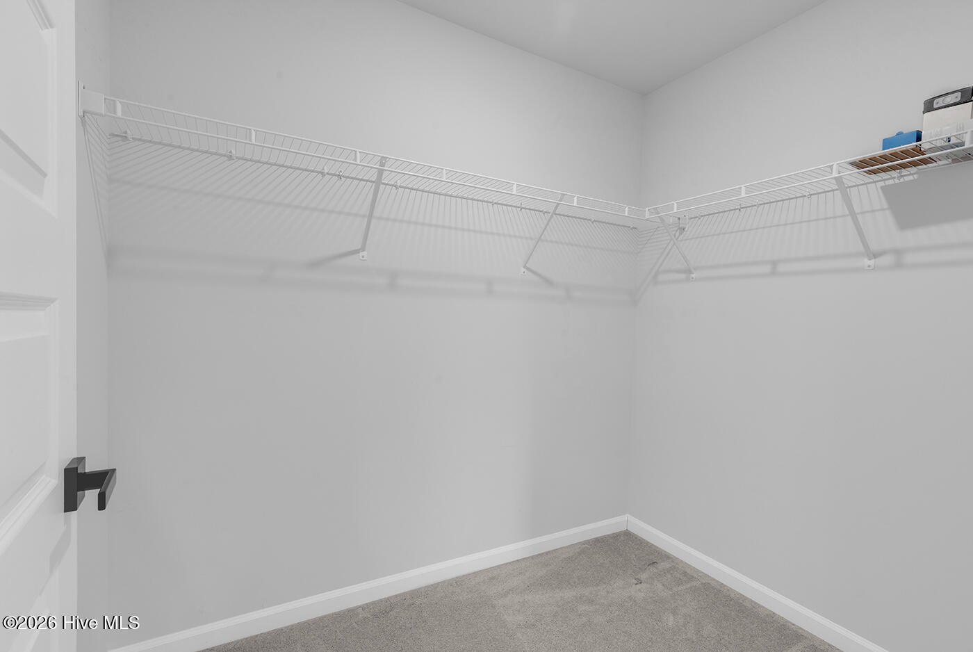 100553635 | Photo 20