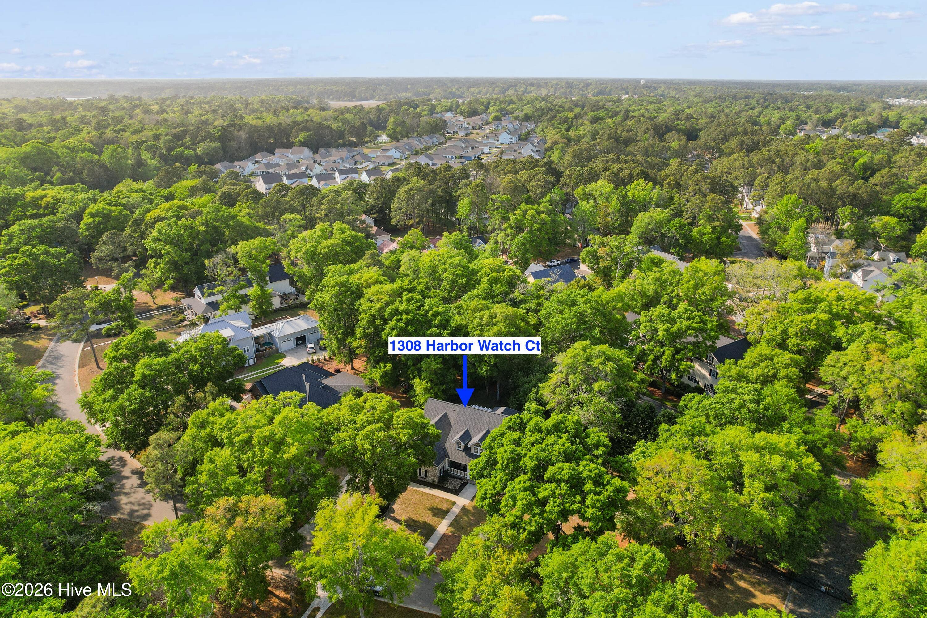 100569260 | Photo 59