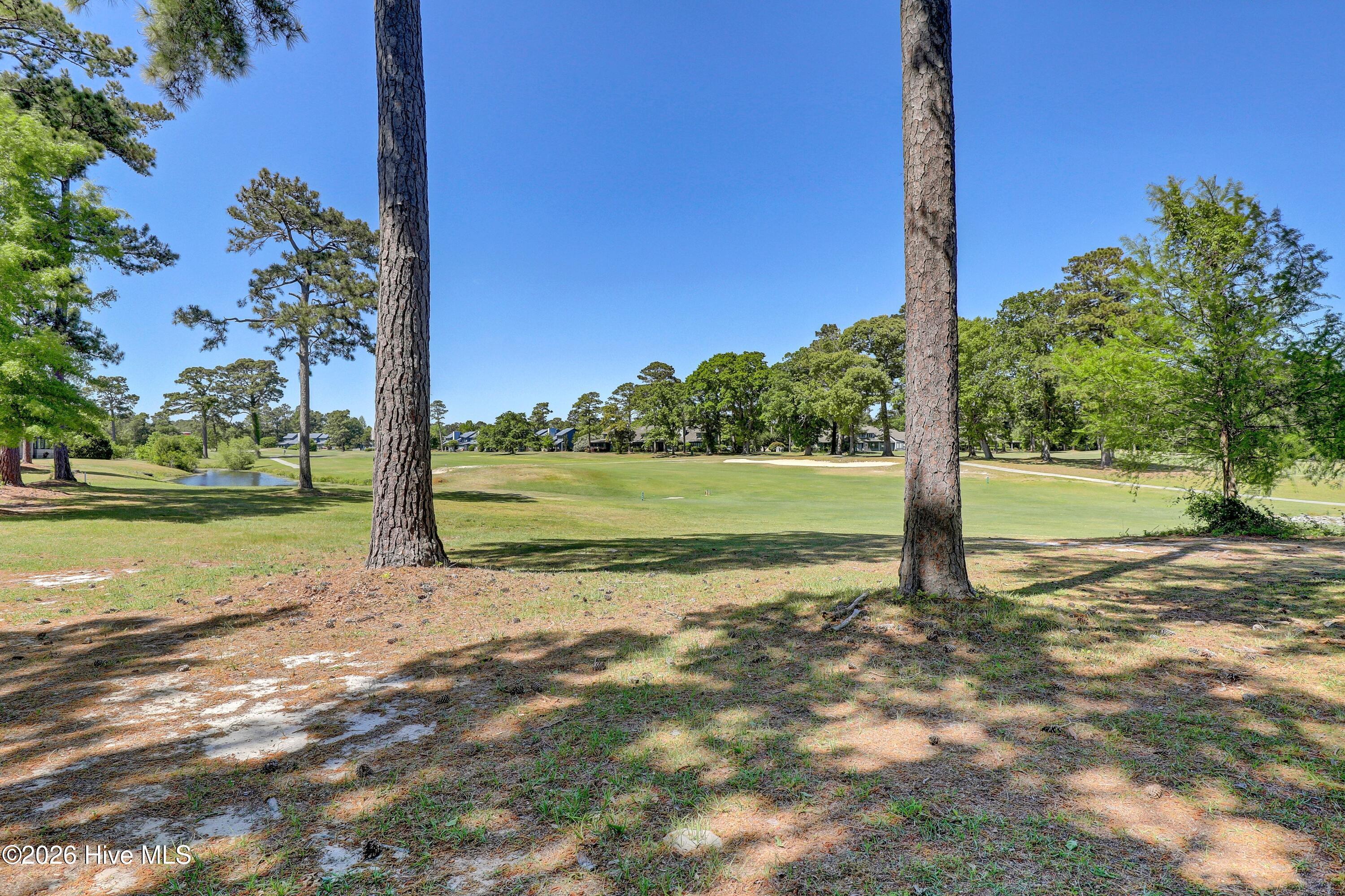 100570690 | Photo 25