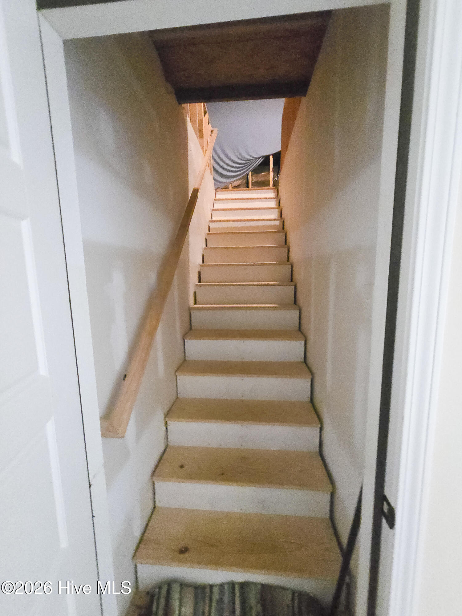 100557279 | Photo 32