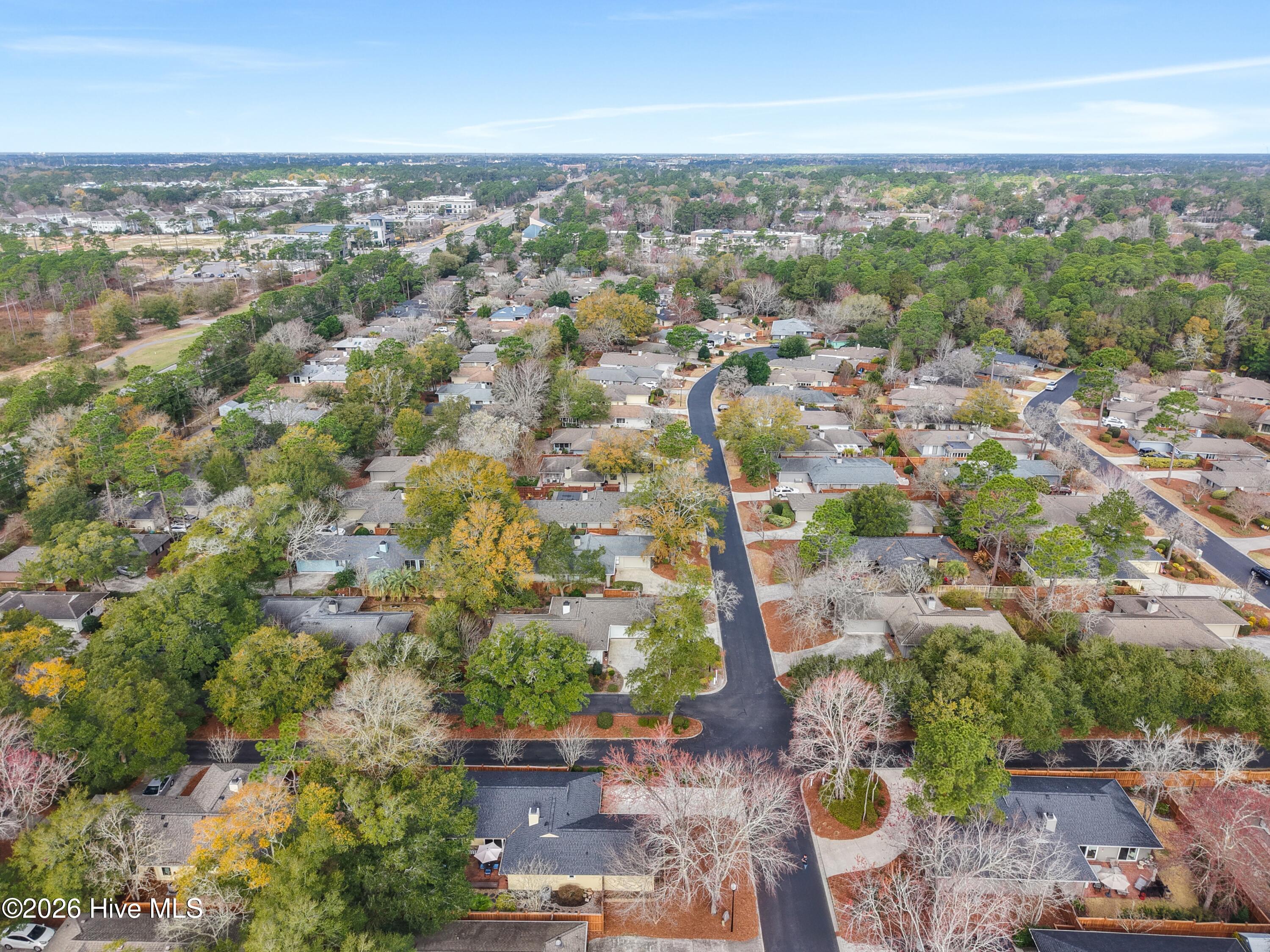 100558002 | Photo 49