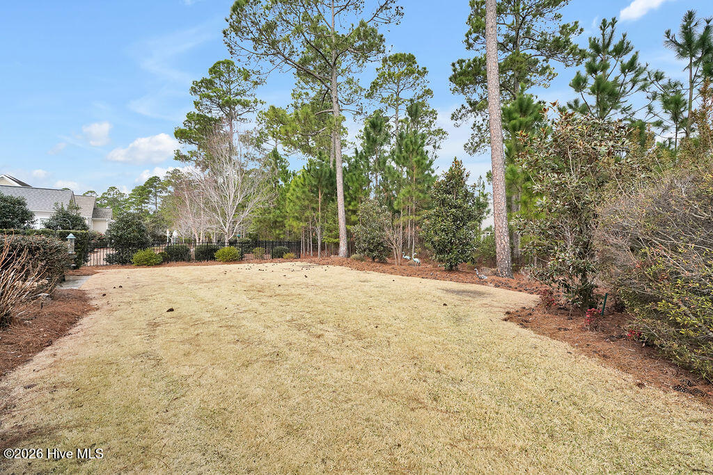 100558721 | Photo 45