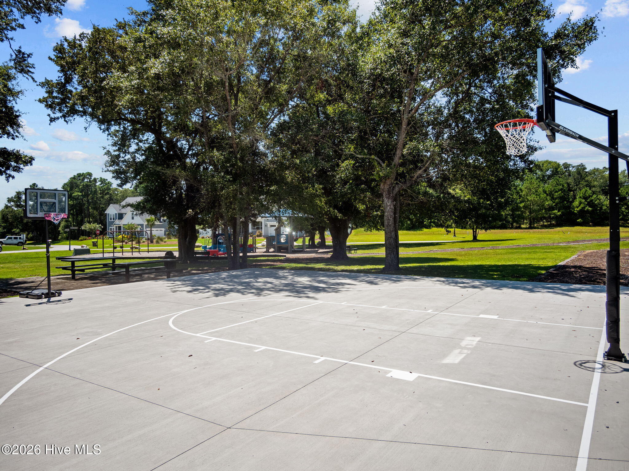 100558515 | Photo 31