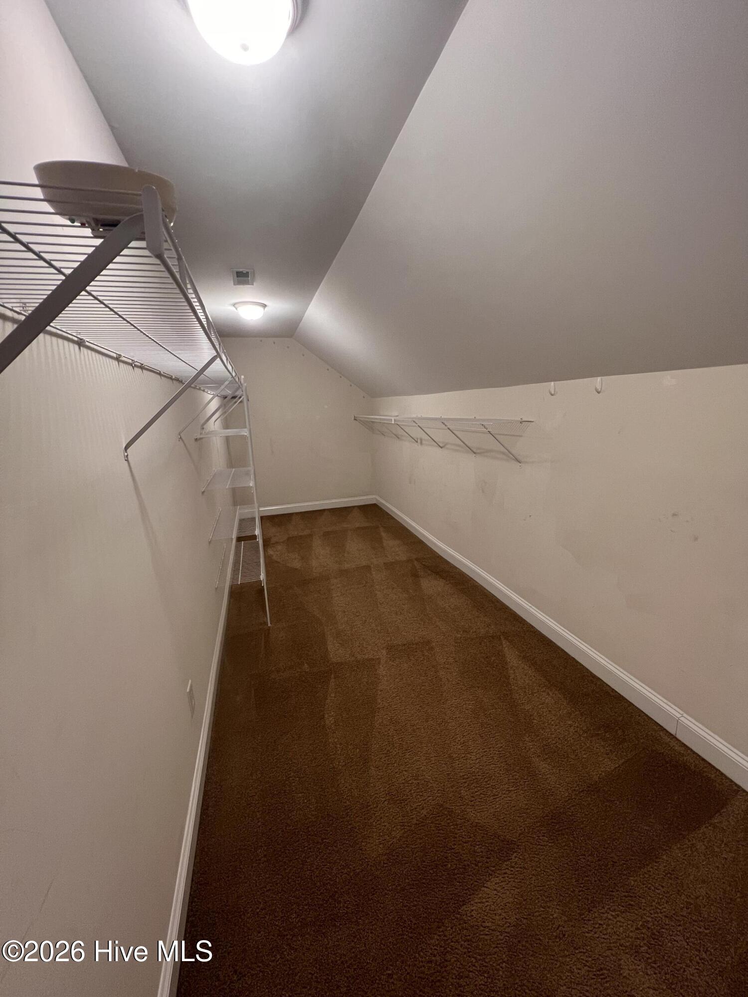 100548675 | Photo 19