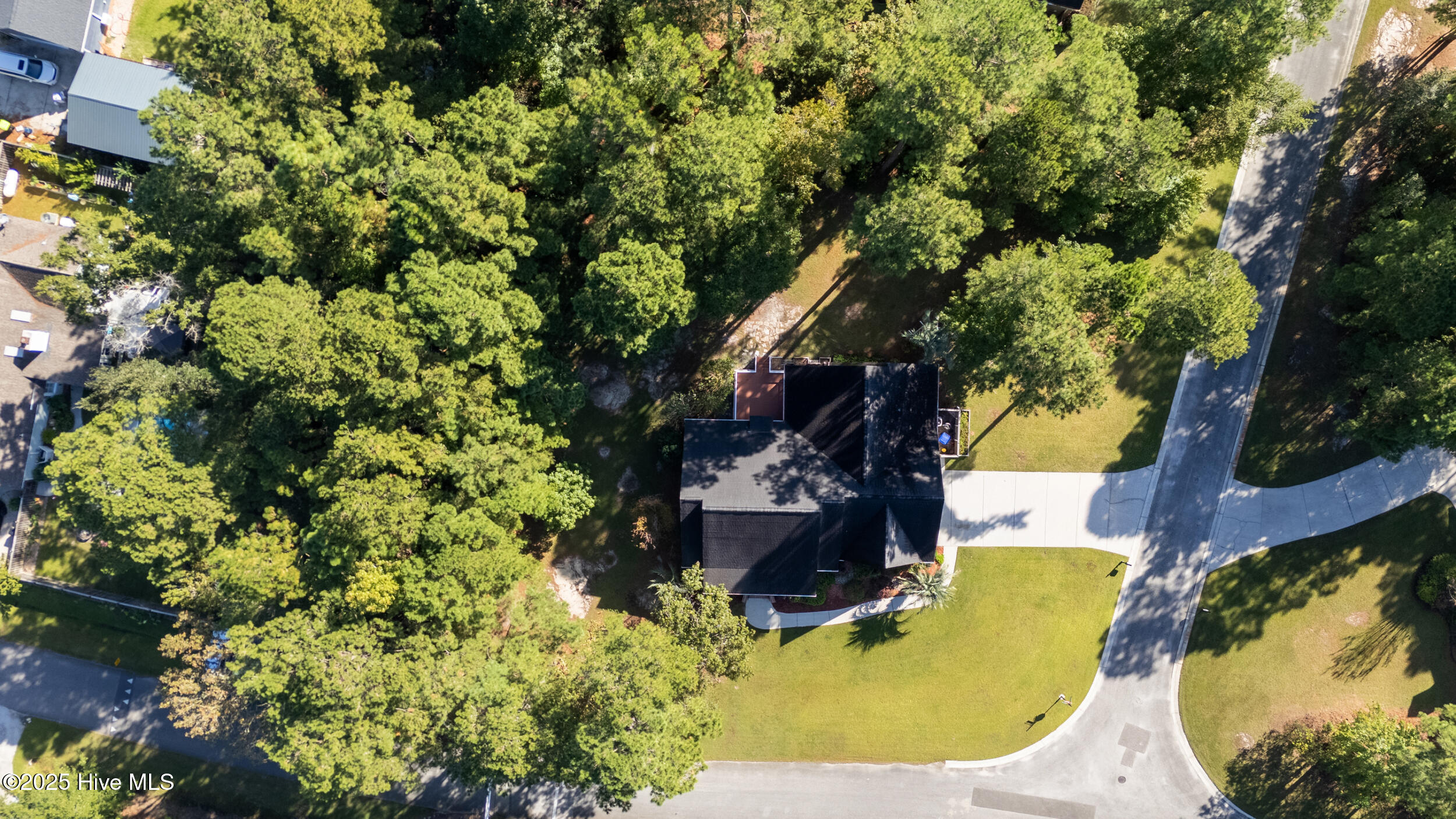 100534384 | Photo 54