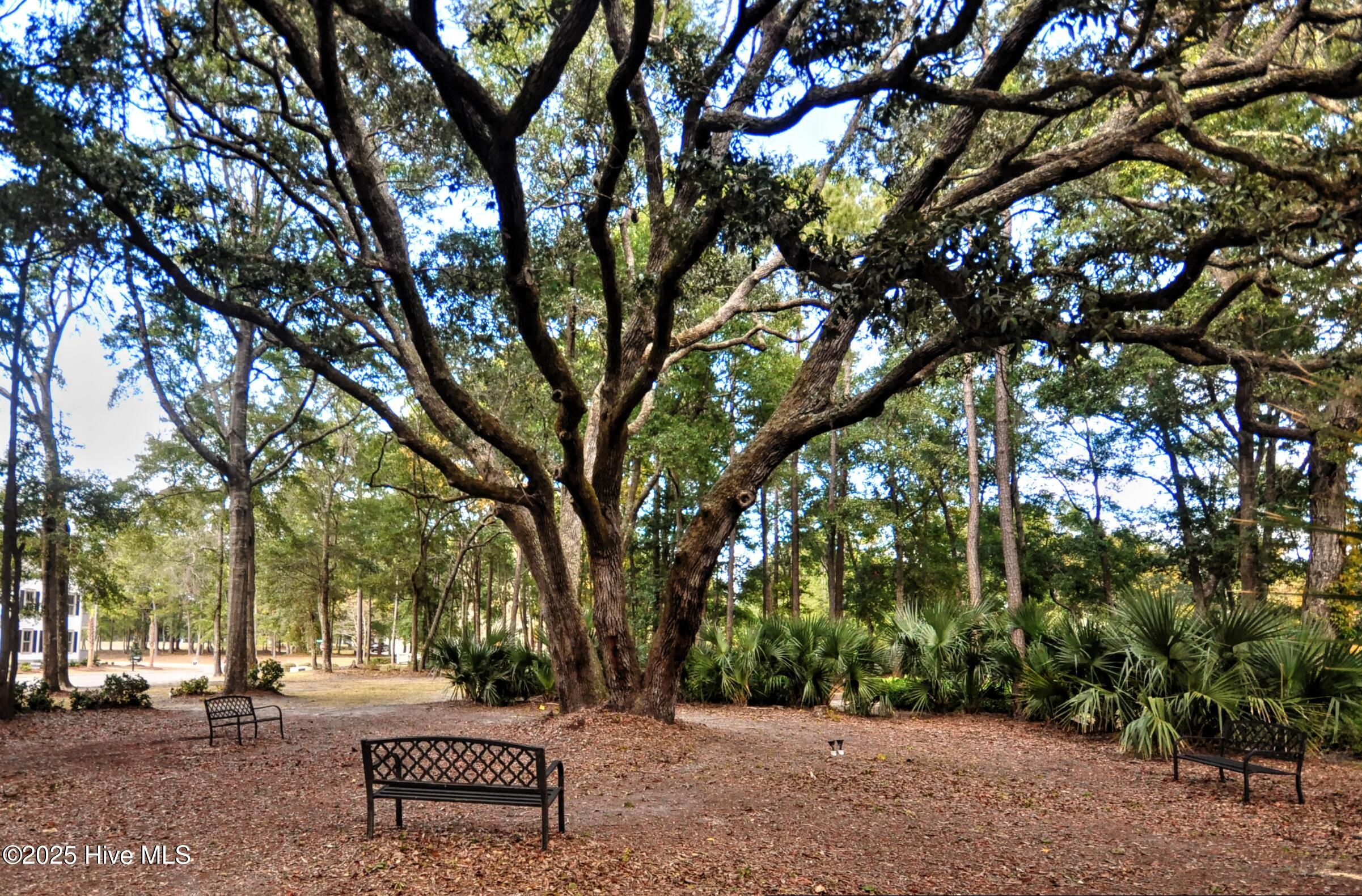 100535585 | Photo 70