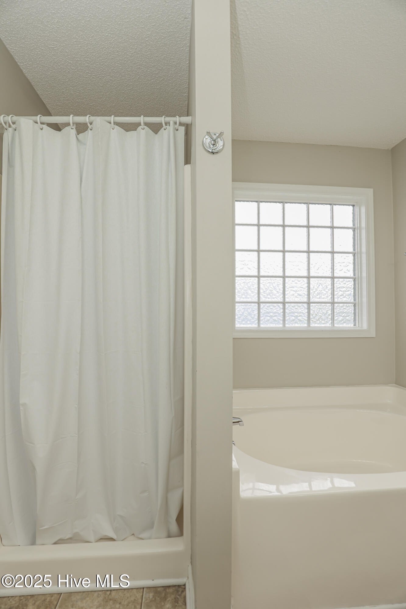 100536070 | Photo 33