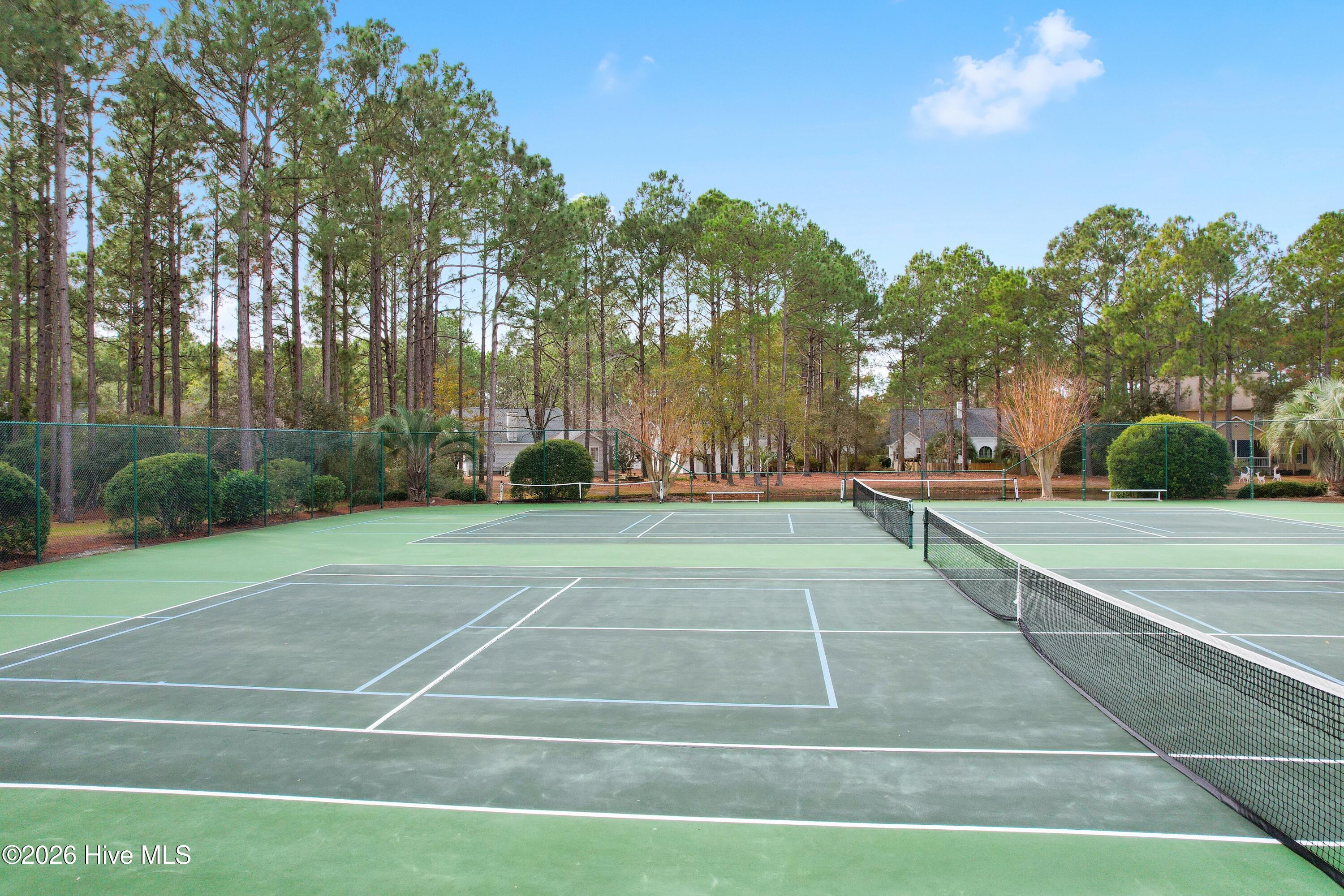 100559952 | Photo 68