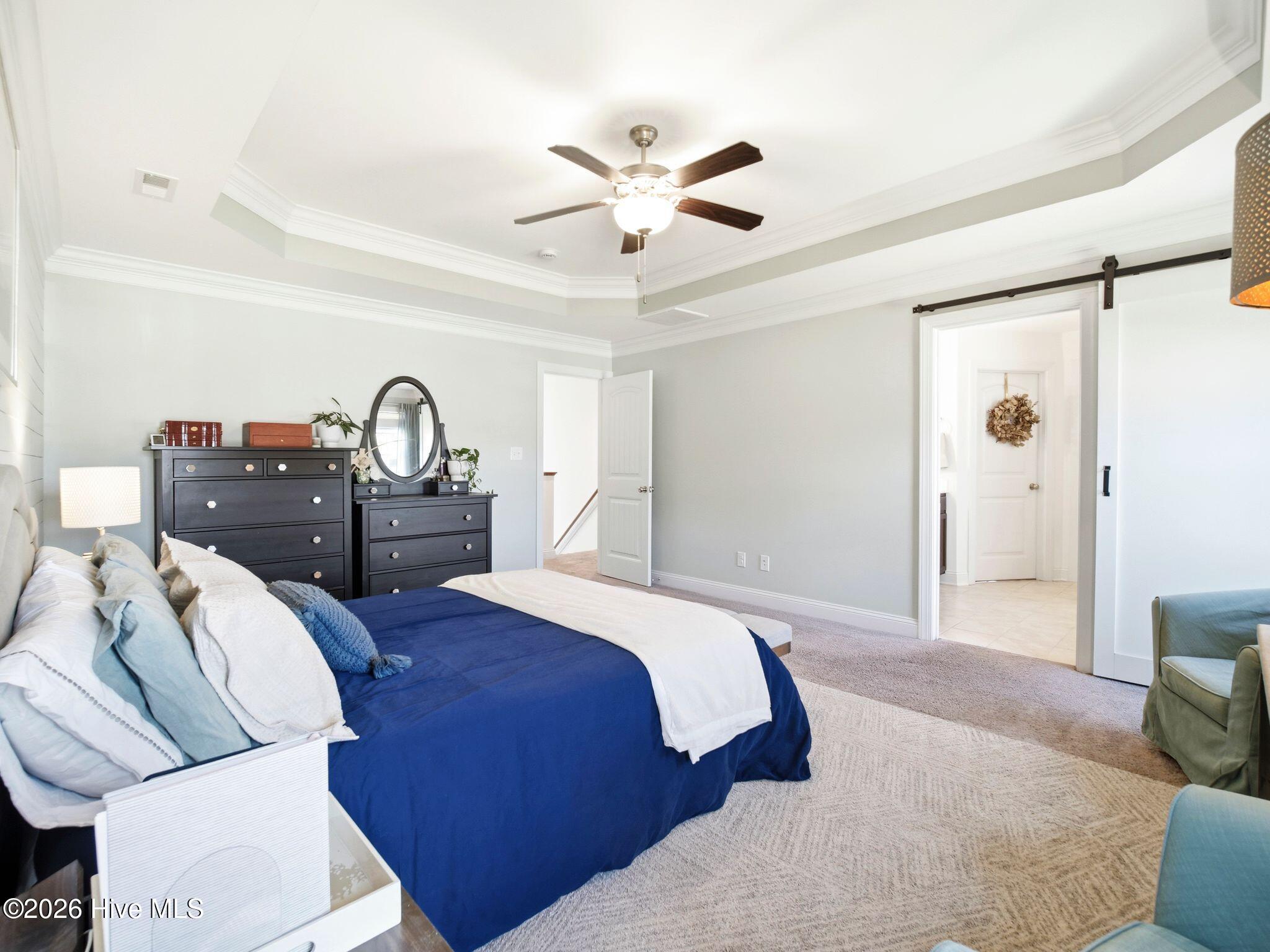 100569153 | Photo 30