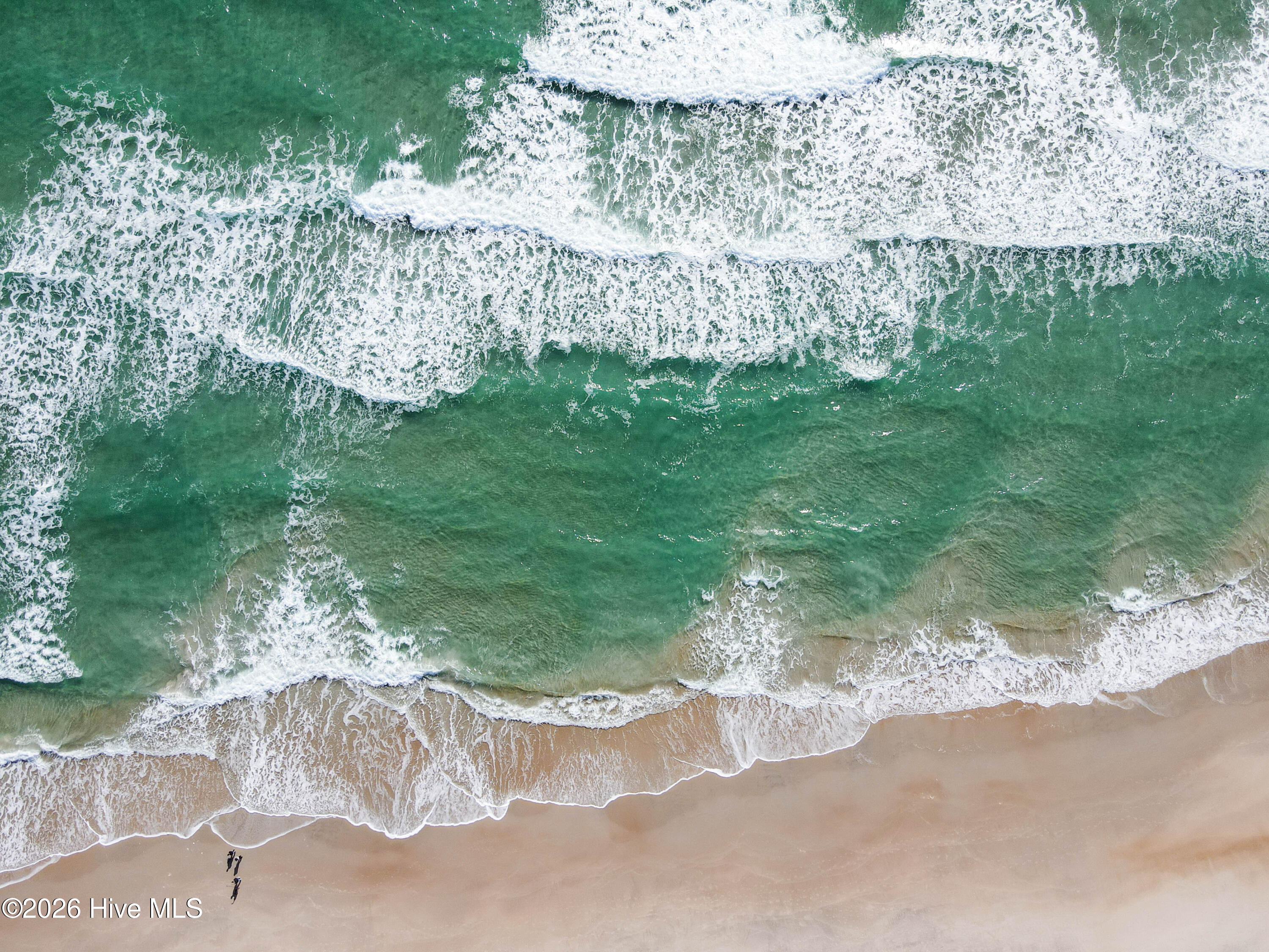 100549871 | Photo 10