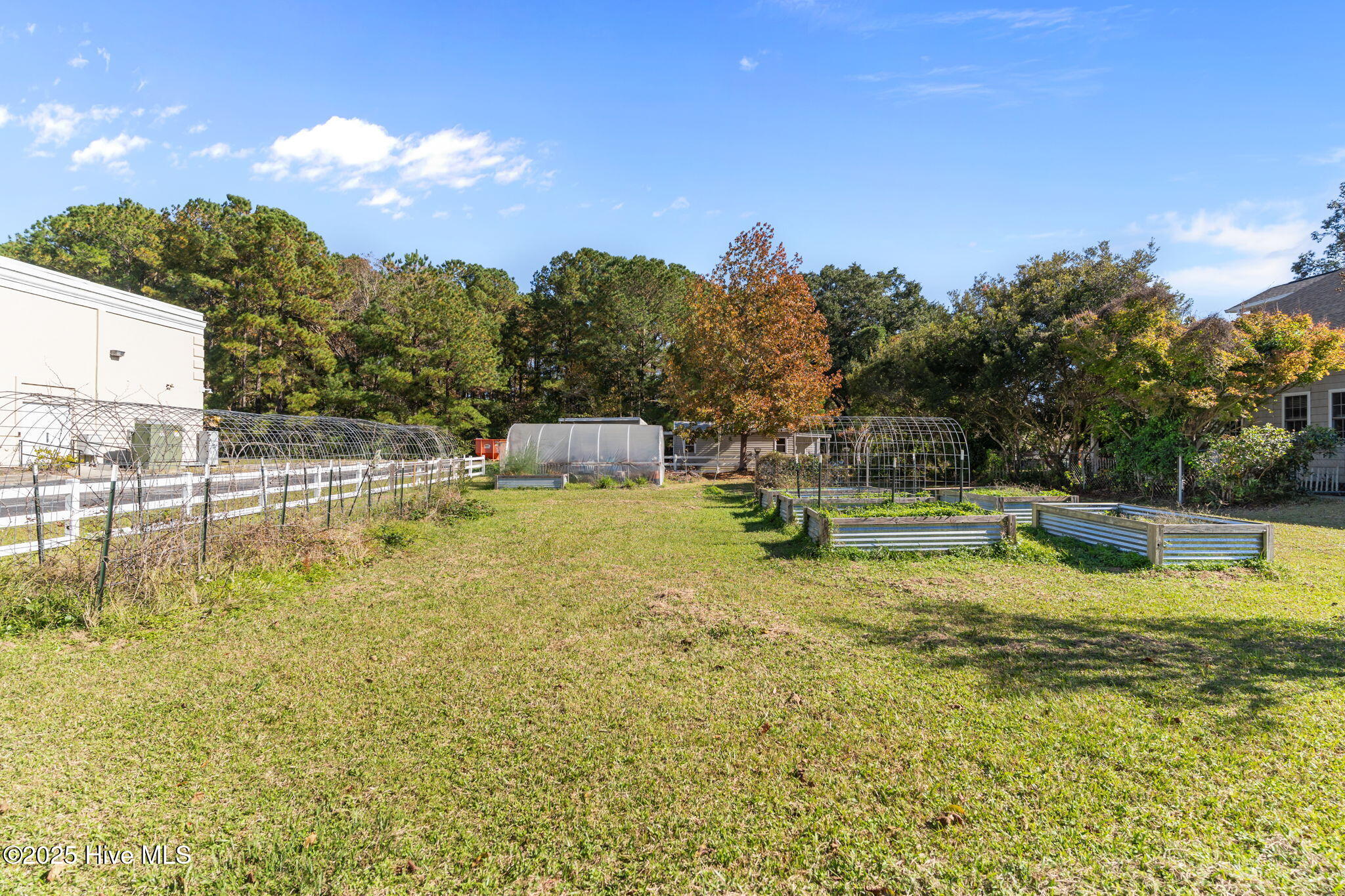 100540353 | Photo 53