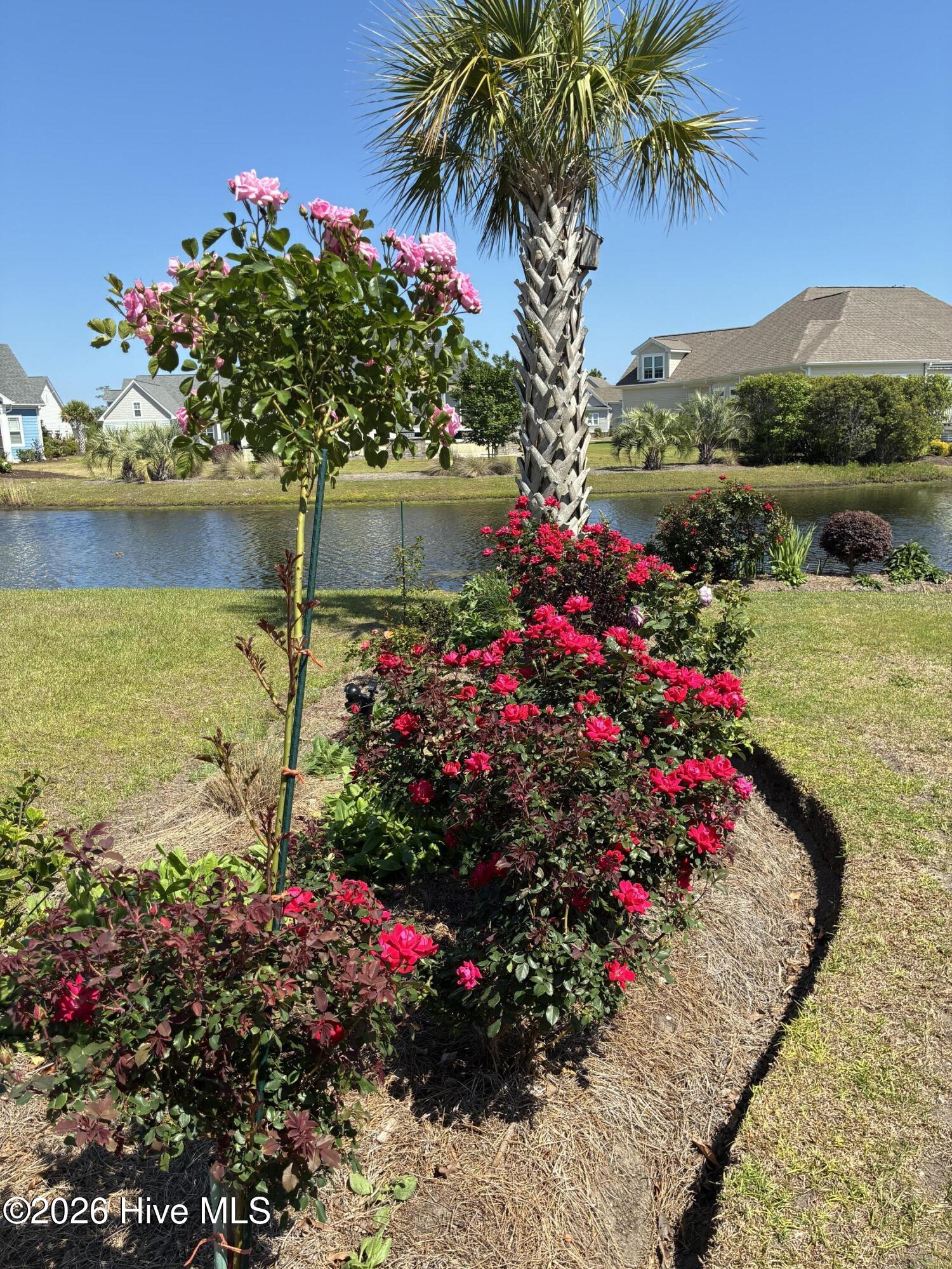 100560288 | Photo 122