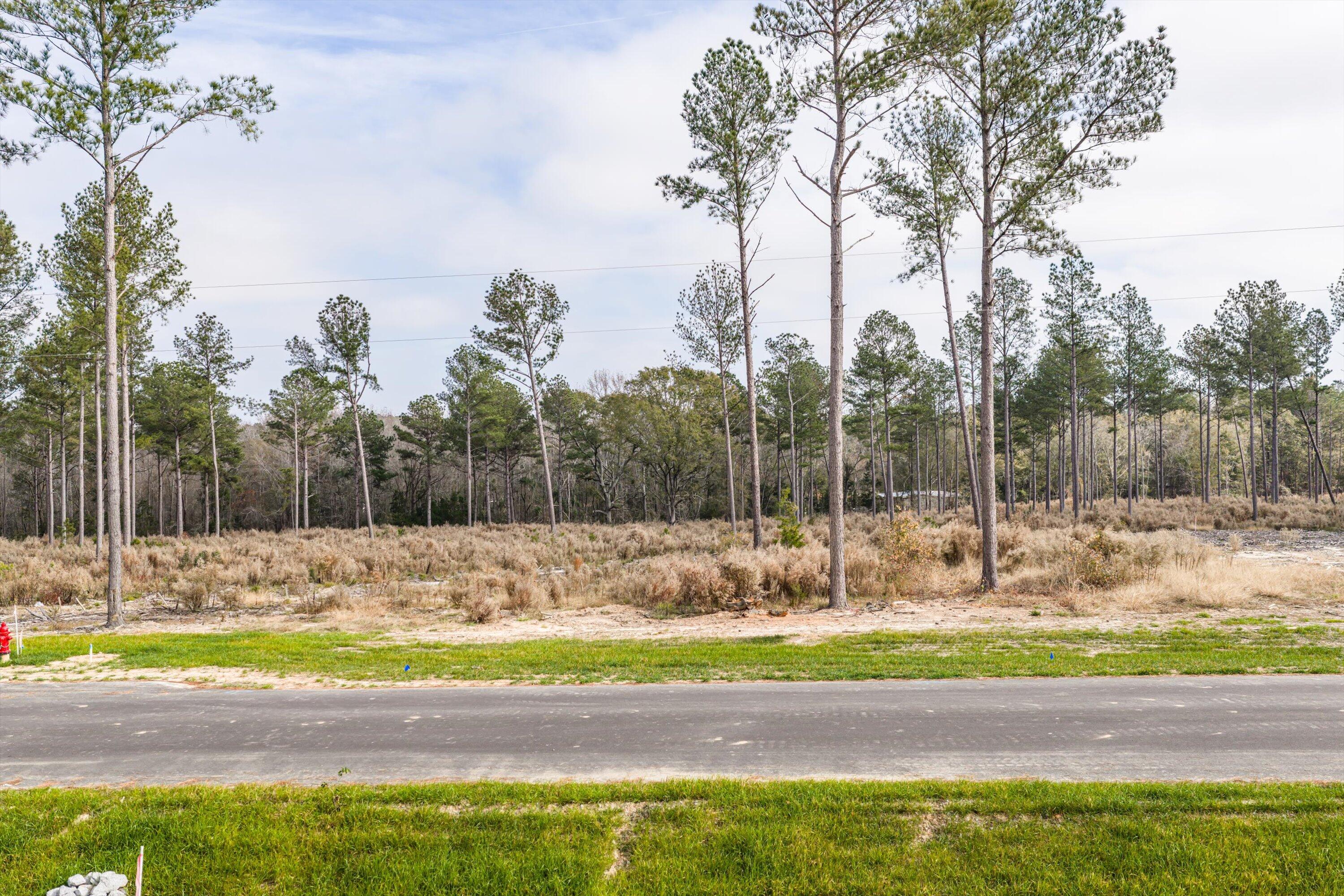 135 Beagle Chase Drive, Appling, GA, 30802