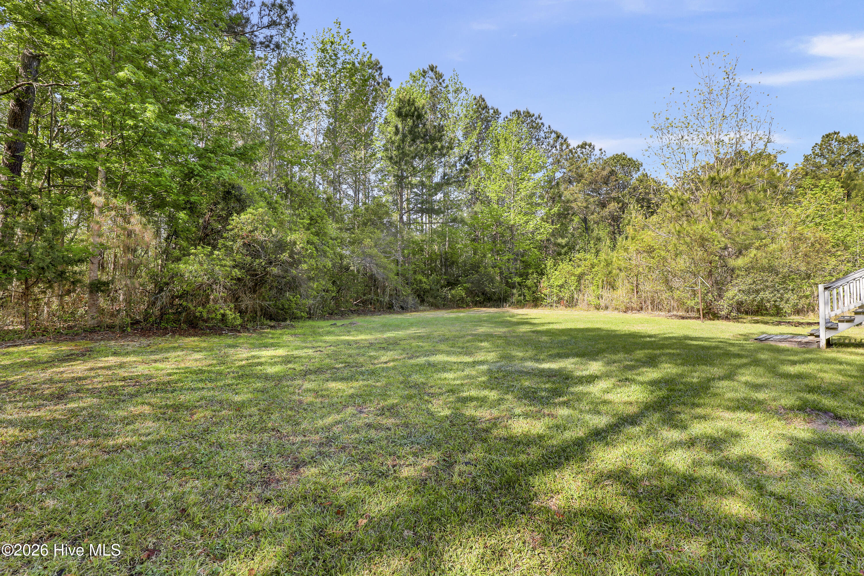 100567063 | Photo 27