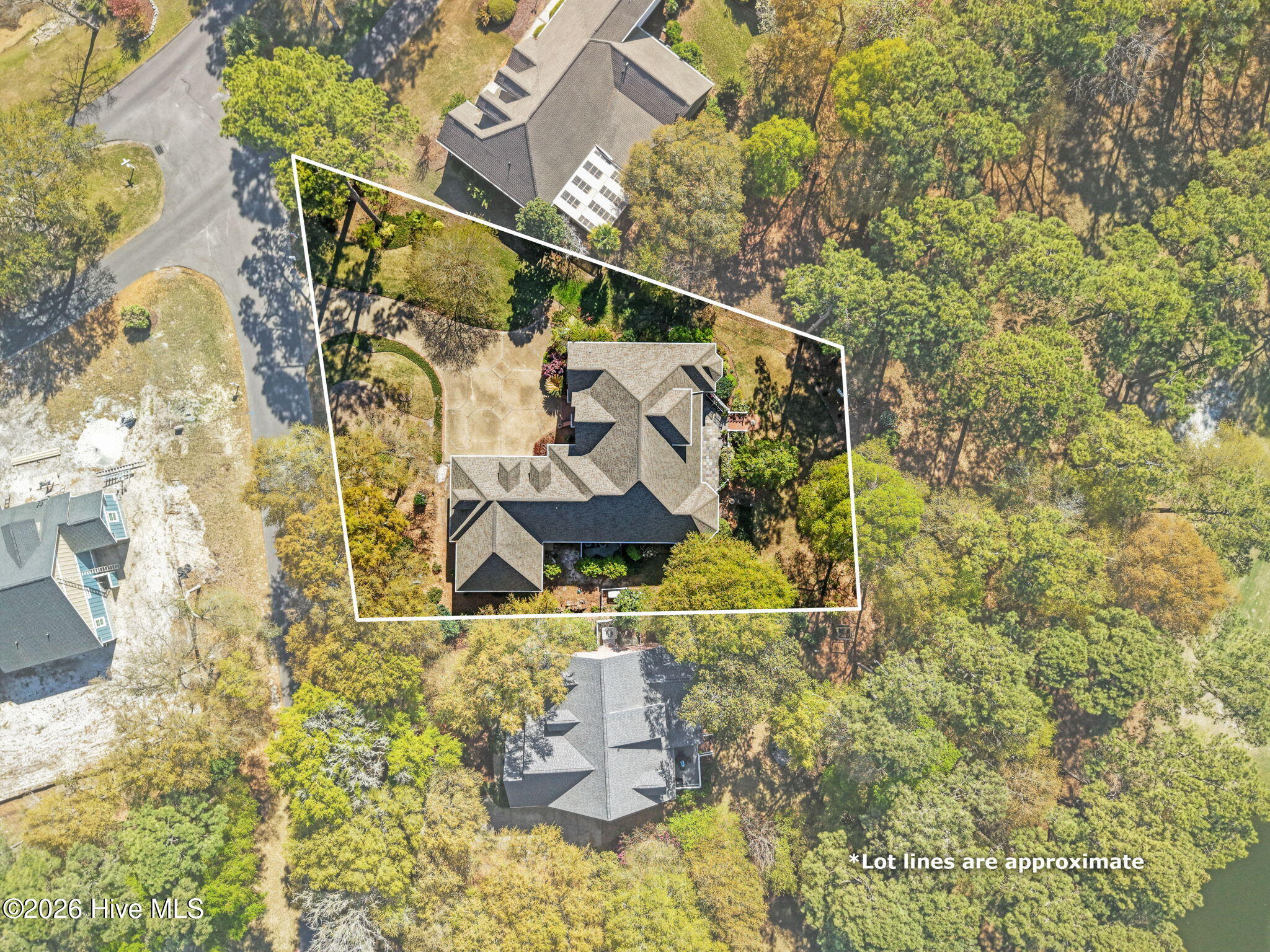 100564903 | Photo 58