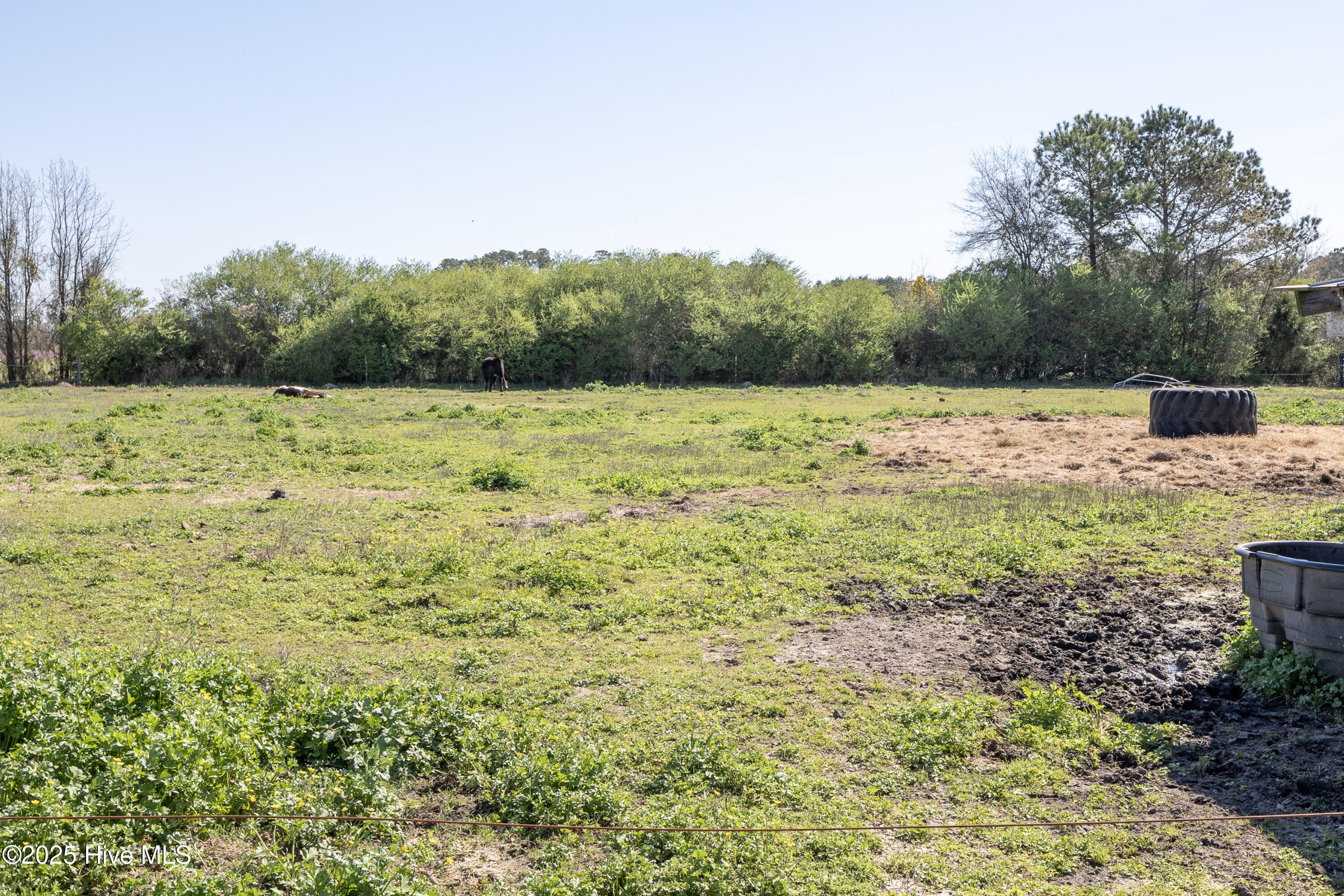 Homes for sale in Clinton, NC | 1539 Old Us 701 Hwy, Clinton, NC 28328 | MLS# 100498401