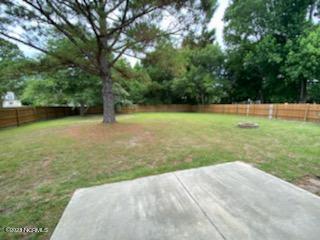 100549356 | Photo 23