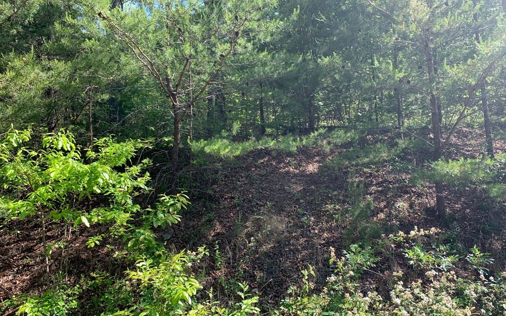 Exterior photo of Lot 4A Trillium Heights, Brasstown, NC 28902. MLS: 98543651