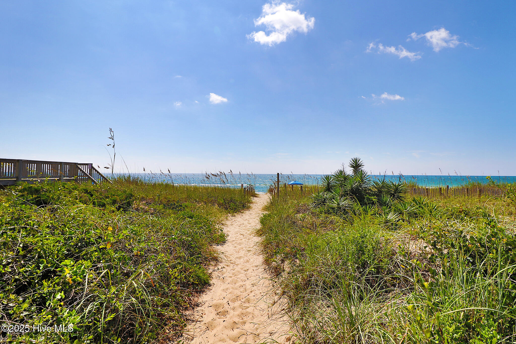 100533935 | Photo 39