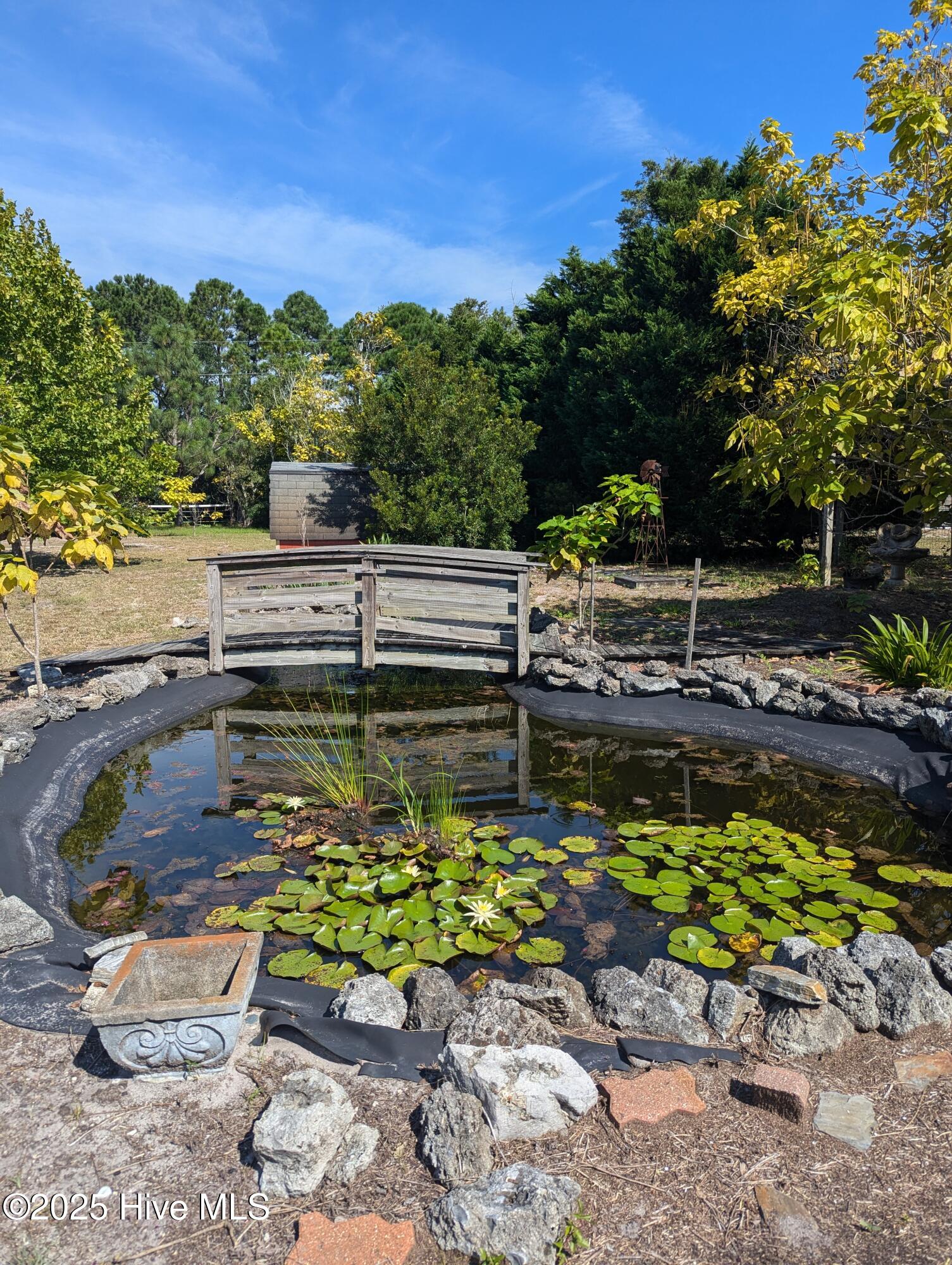 100540612 | Photo 24