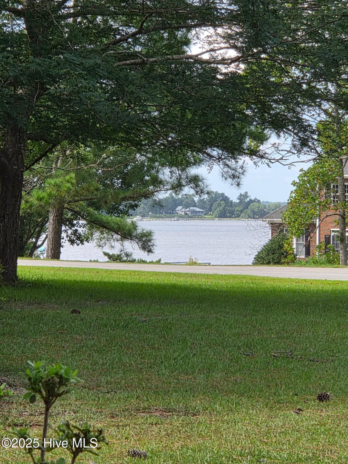 100513900 | Photo 11