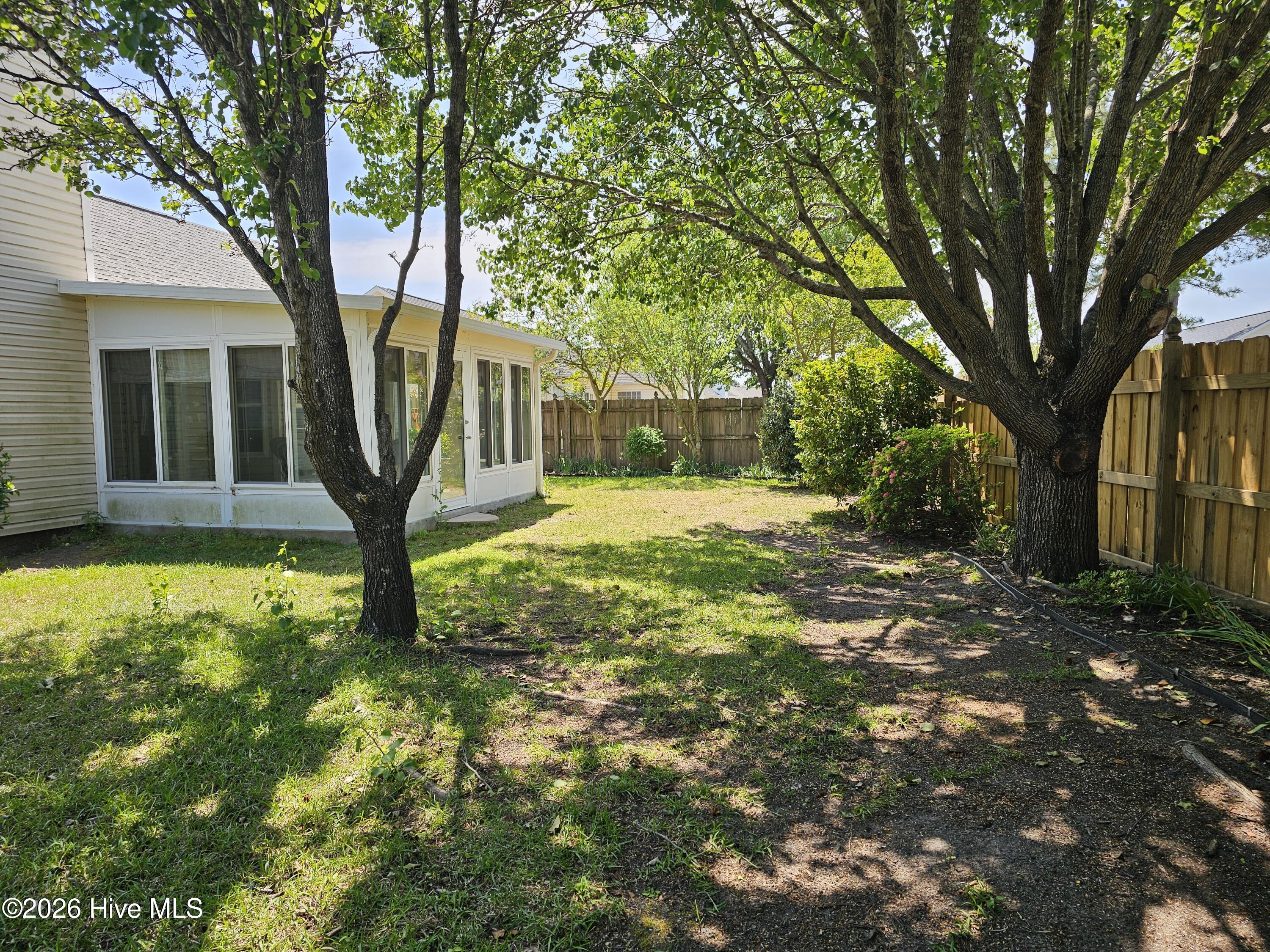 100566879 | Photo 24