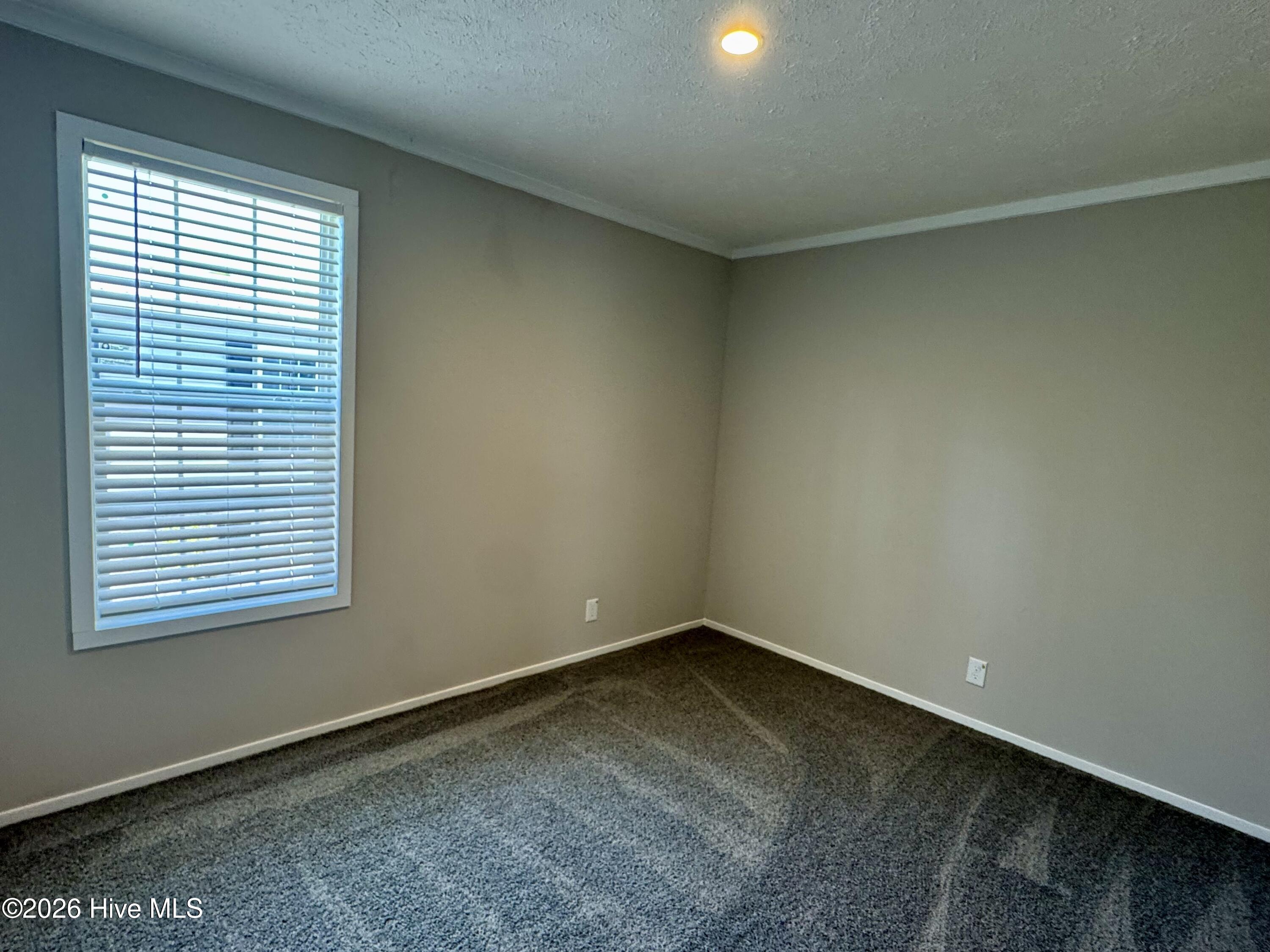 100559135 | Photo 11