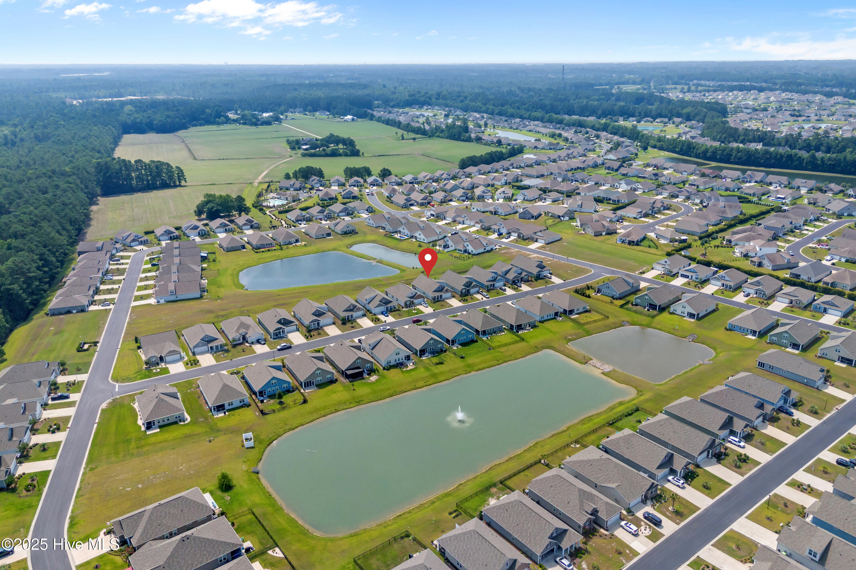 100549848 | Photo 43