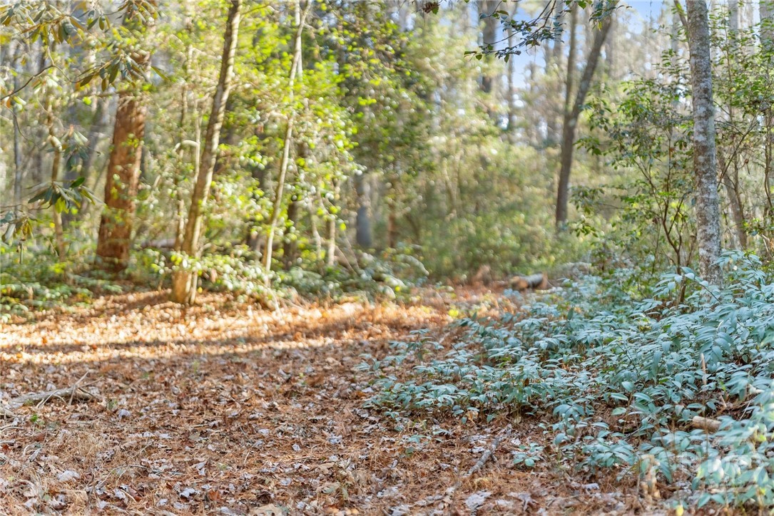 Beautiful hardwood canopy Shoal Creek Tract Habersham County