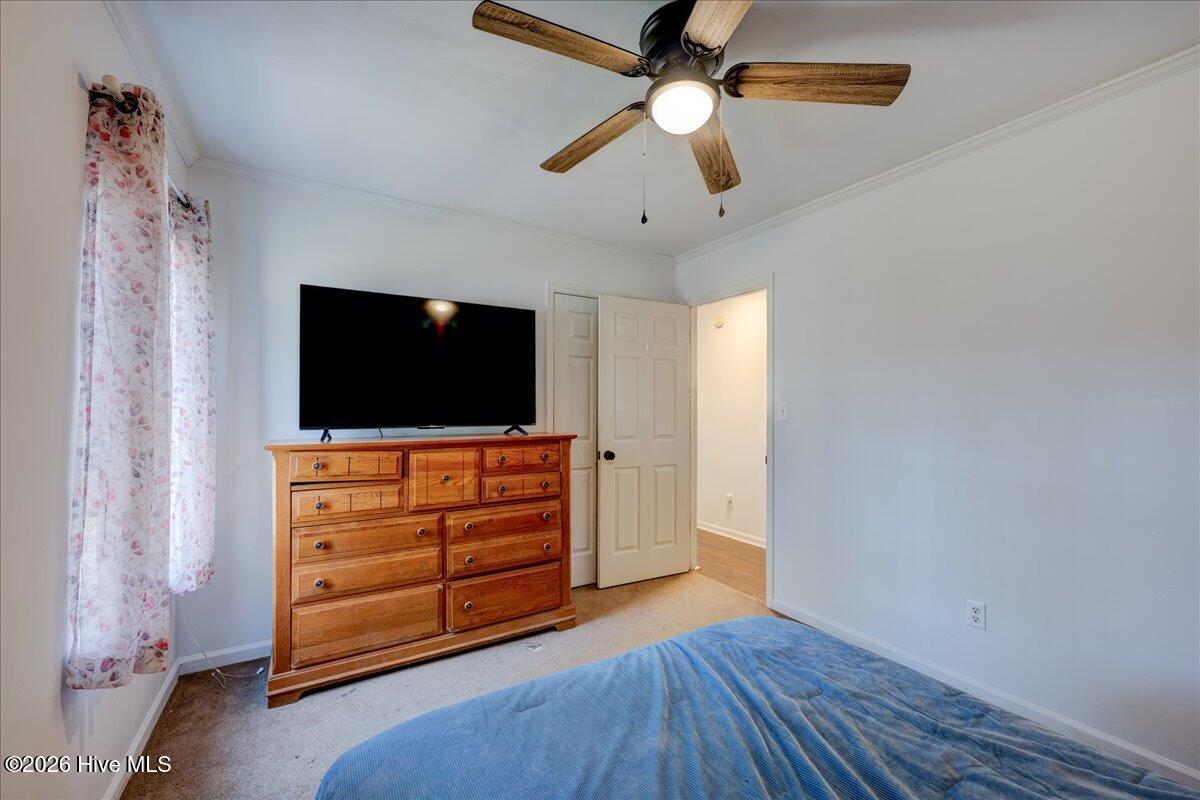 100548576 | Photo 24