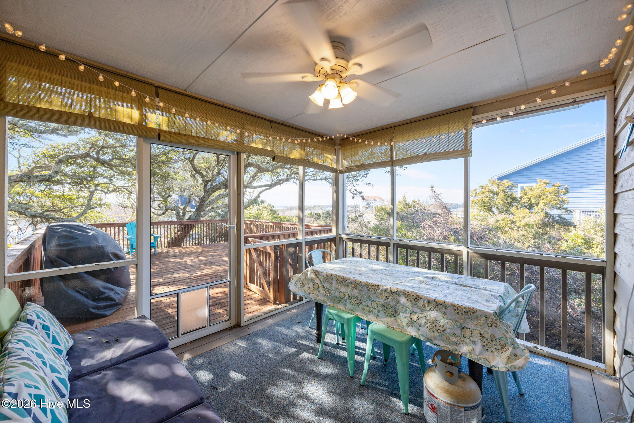 100553918 | Photo 36