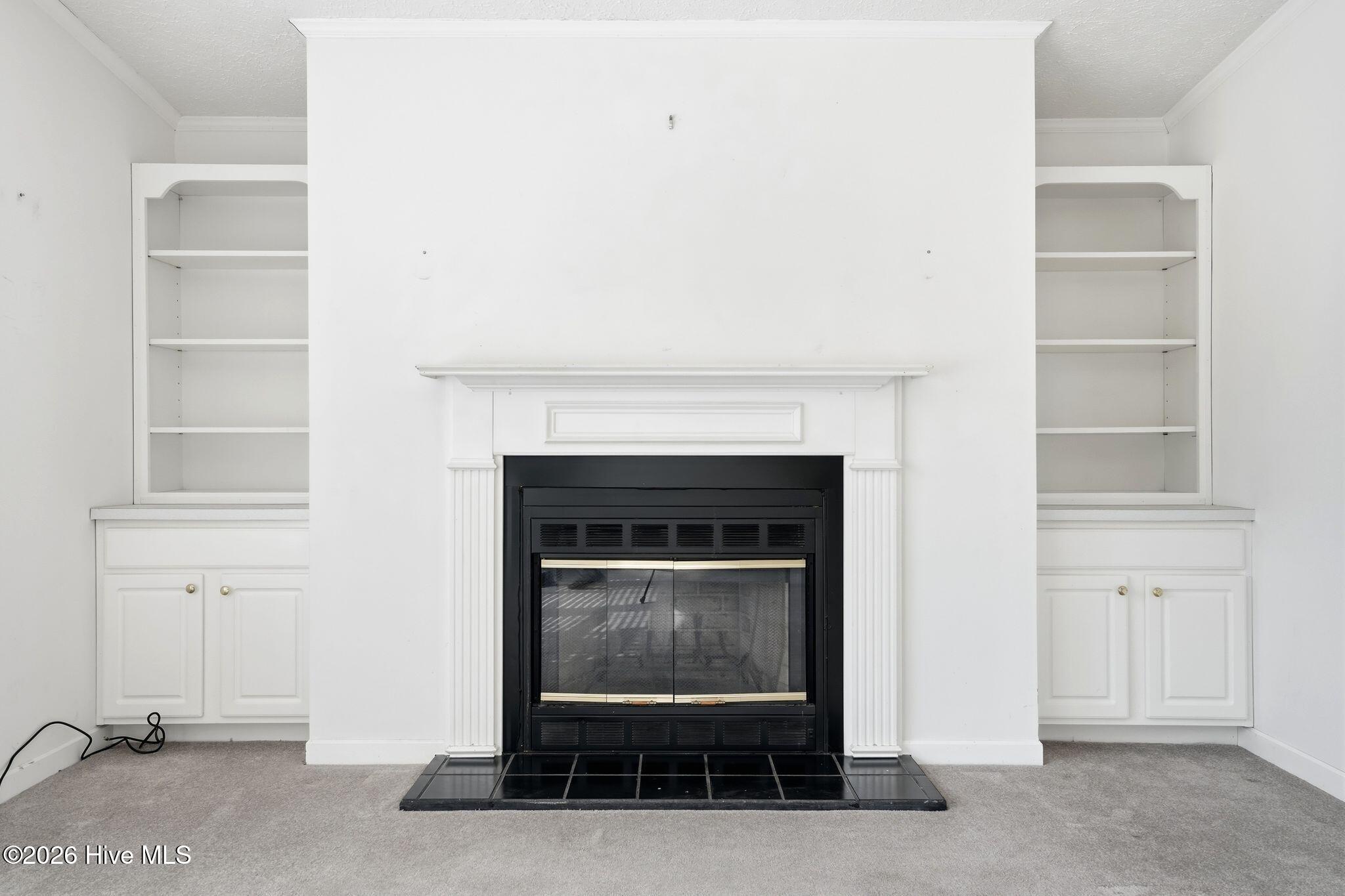 100556115 | Photo 50